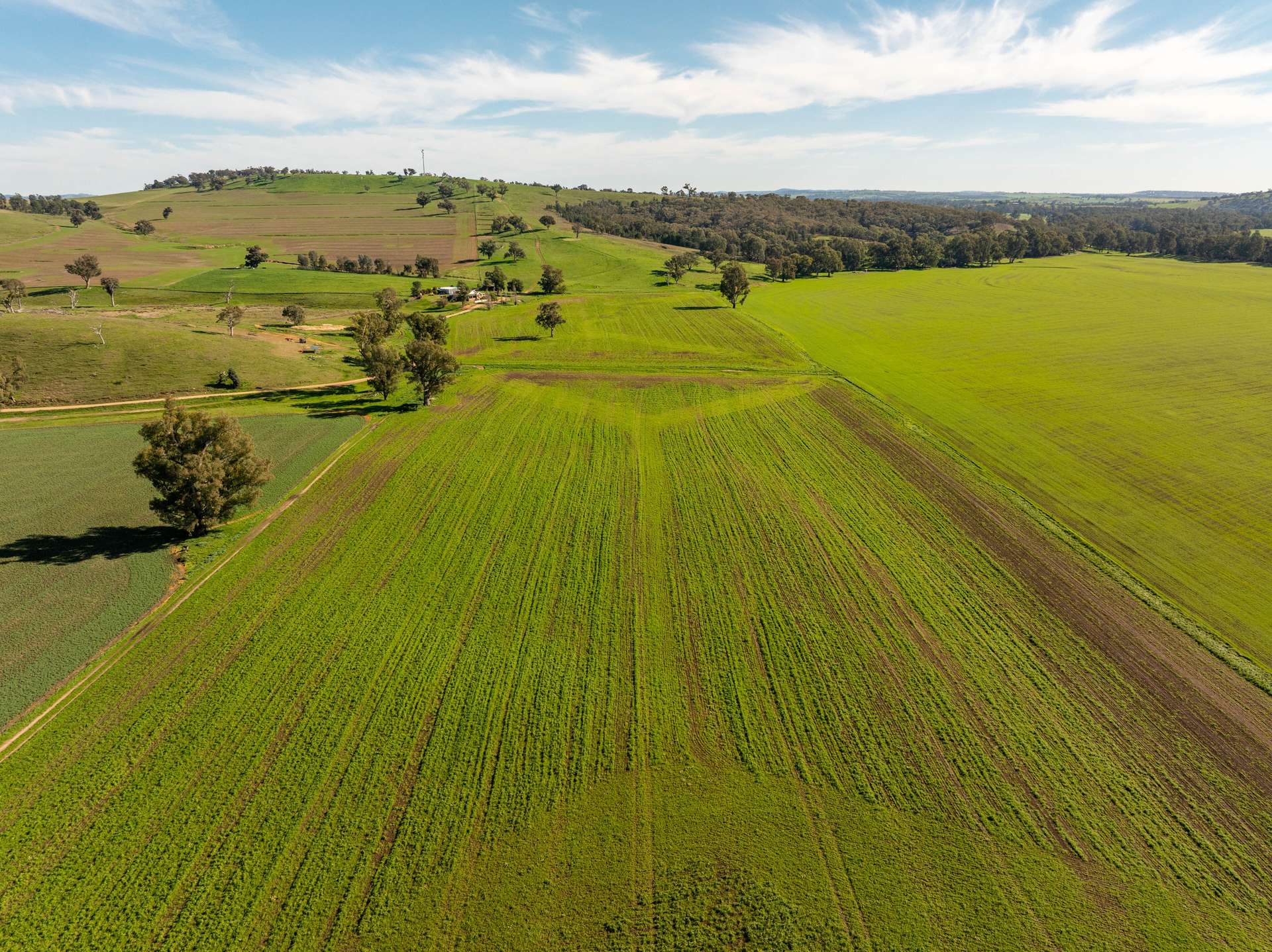 460 Wokolena Road, Wagga Wagga For Sale by Farmbuy.com - image 7