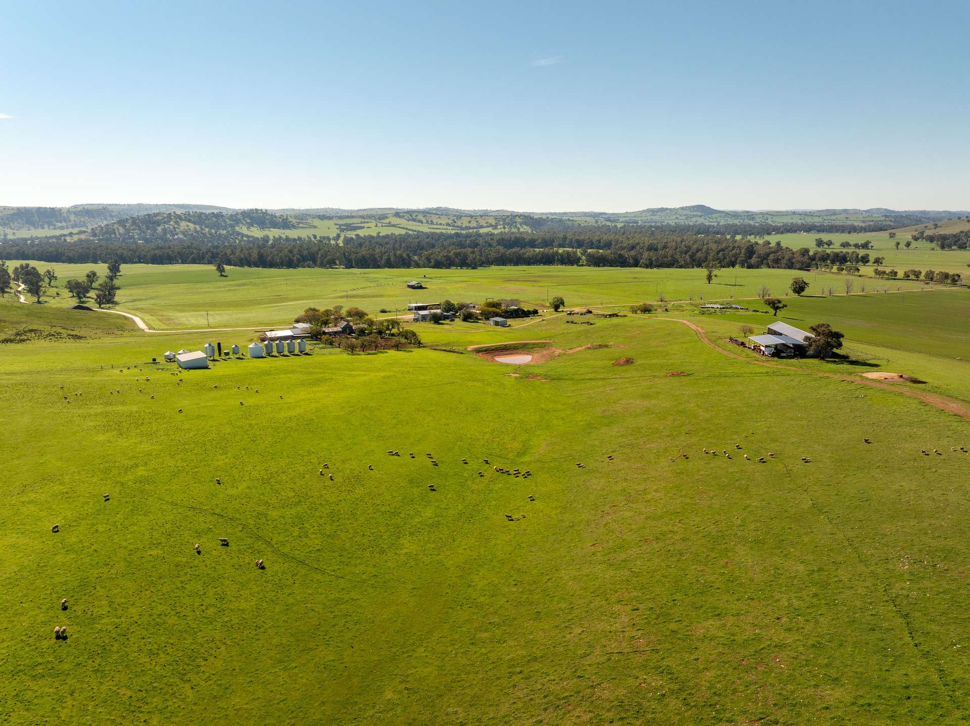 460 Wokolena Road, Wagga Wagga For Sale by Farmbuy.com - image 12