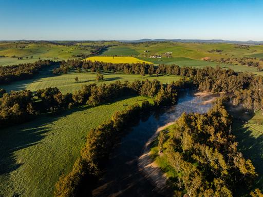 460 Wokolena Road, Wagga Wagga NSW 2650