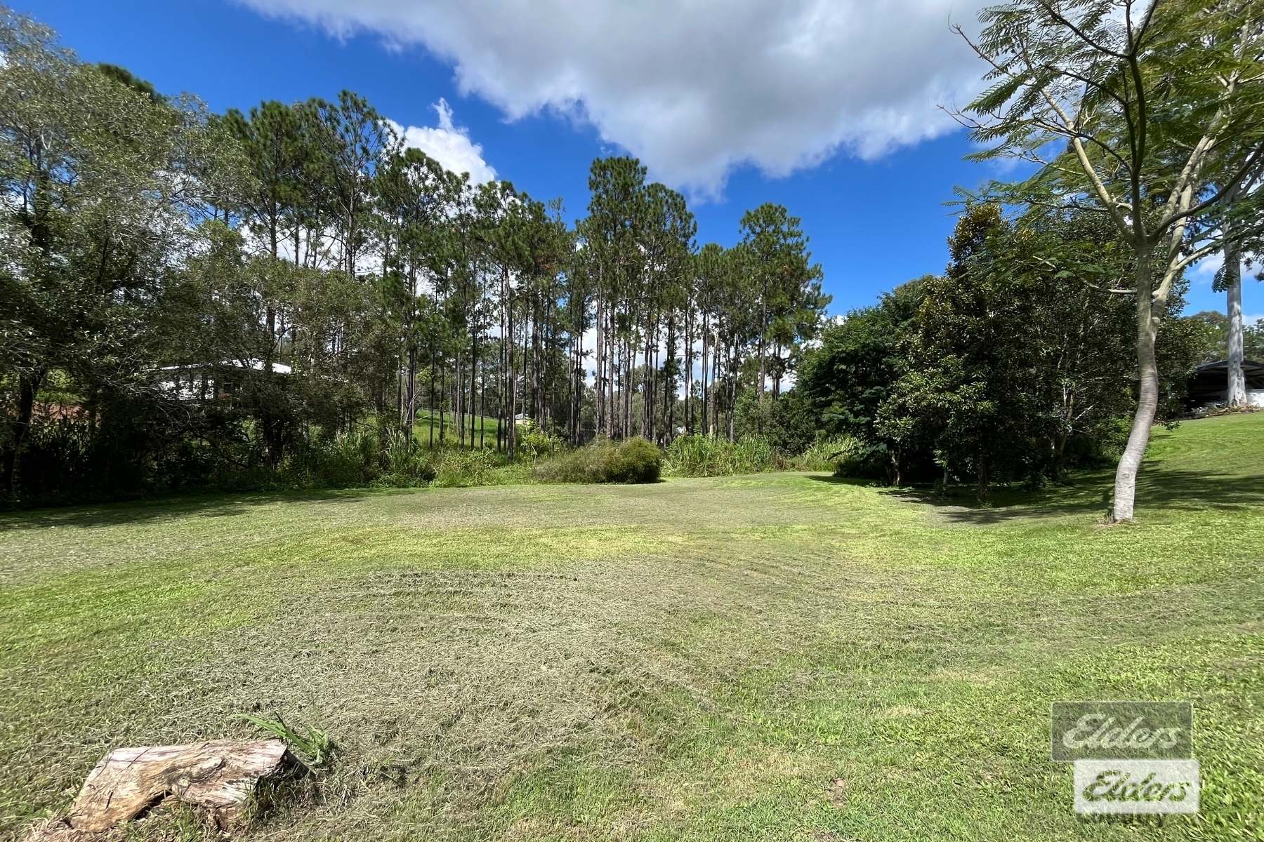 112 Stevenson Road, Glenwood For Sale by Farmbuy.com - image 14