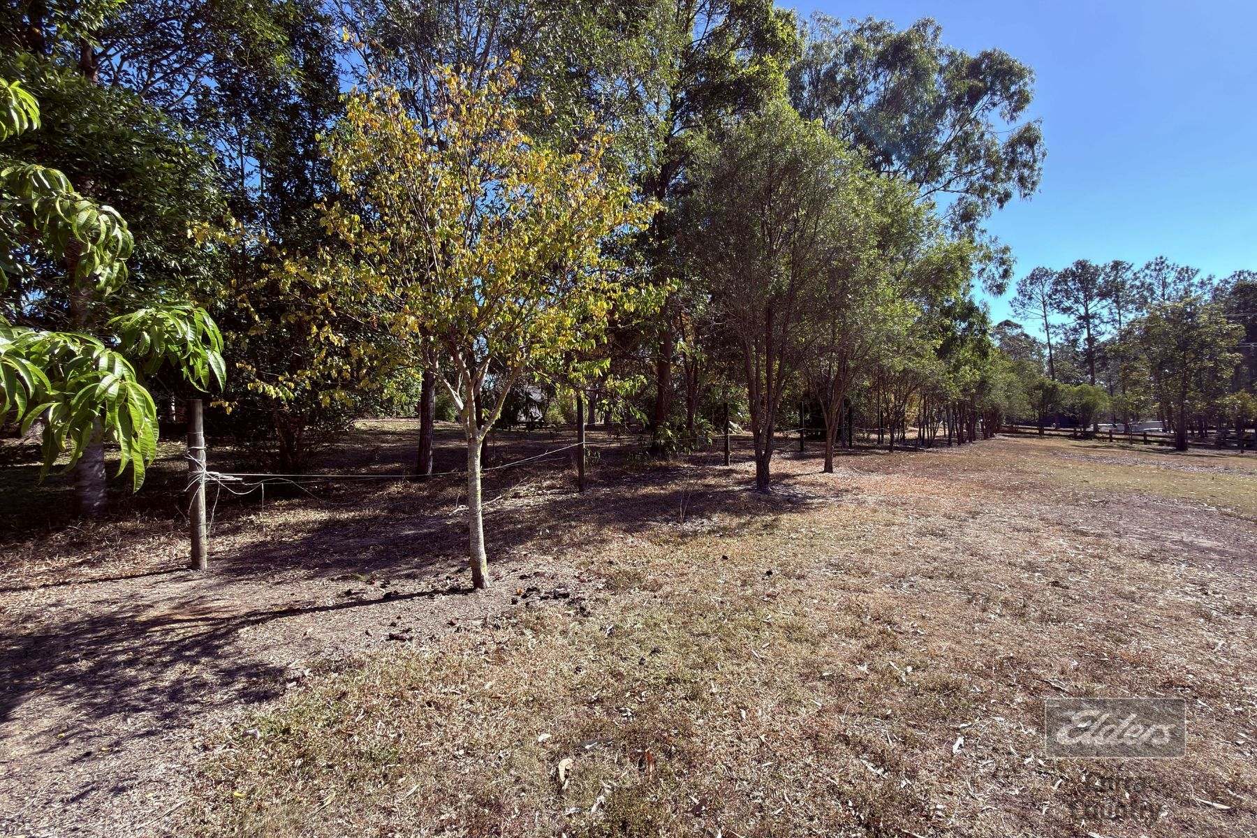 112 Stevenson Road, Glenwood For Sale by Farmbuy.com - image 20