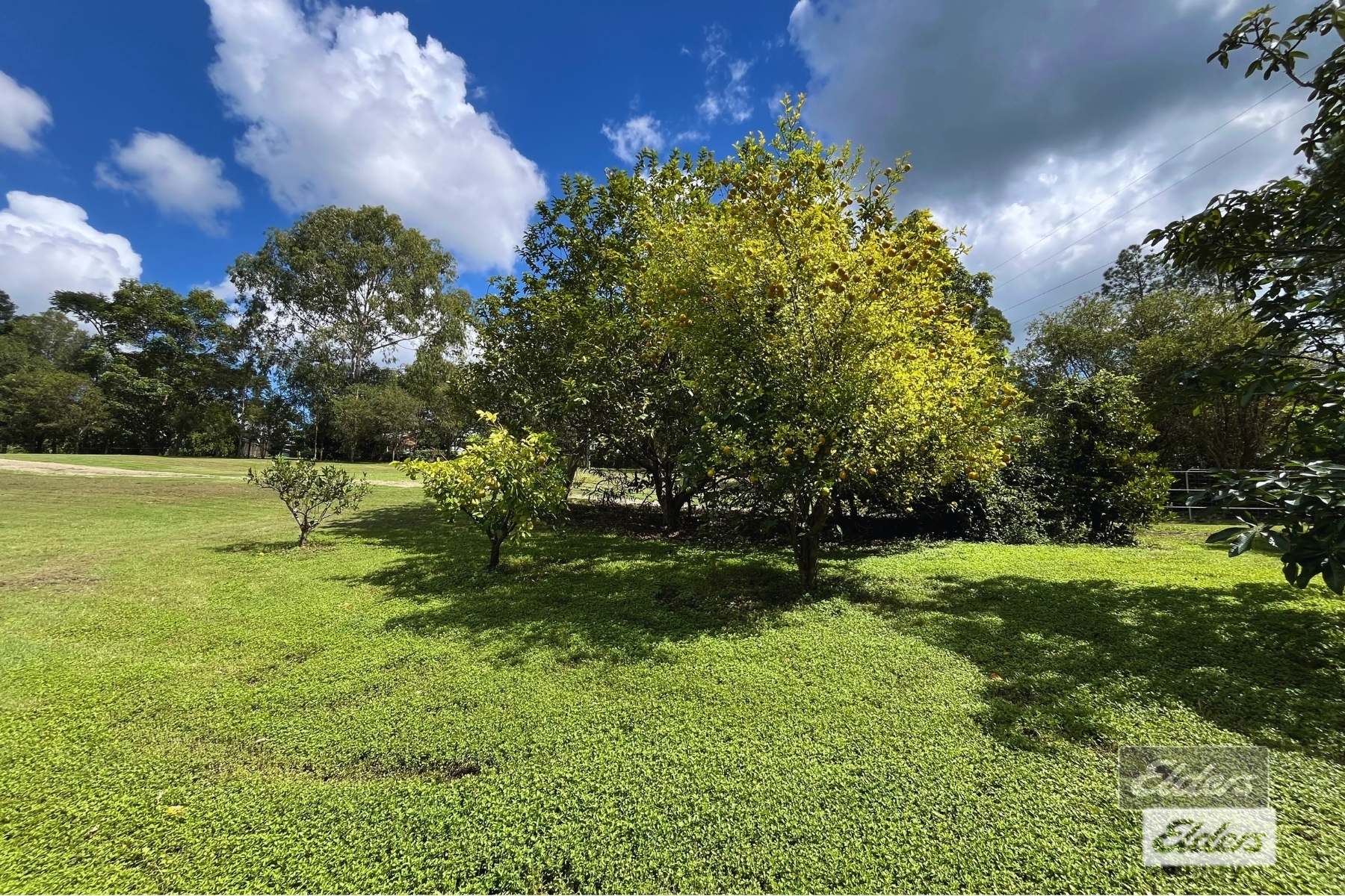 112 Stevenson Road, Glenwood For Sale by Farmbuy.com - image 13