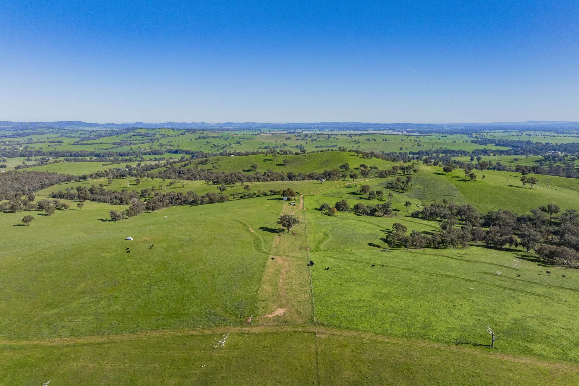 9294 Tumbarumba Road, Wagga Wagga For Sale by Farmbuy.com - image 19