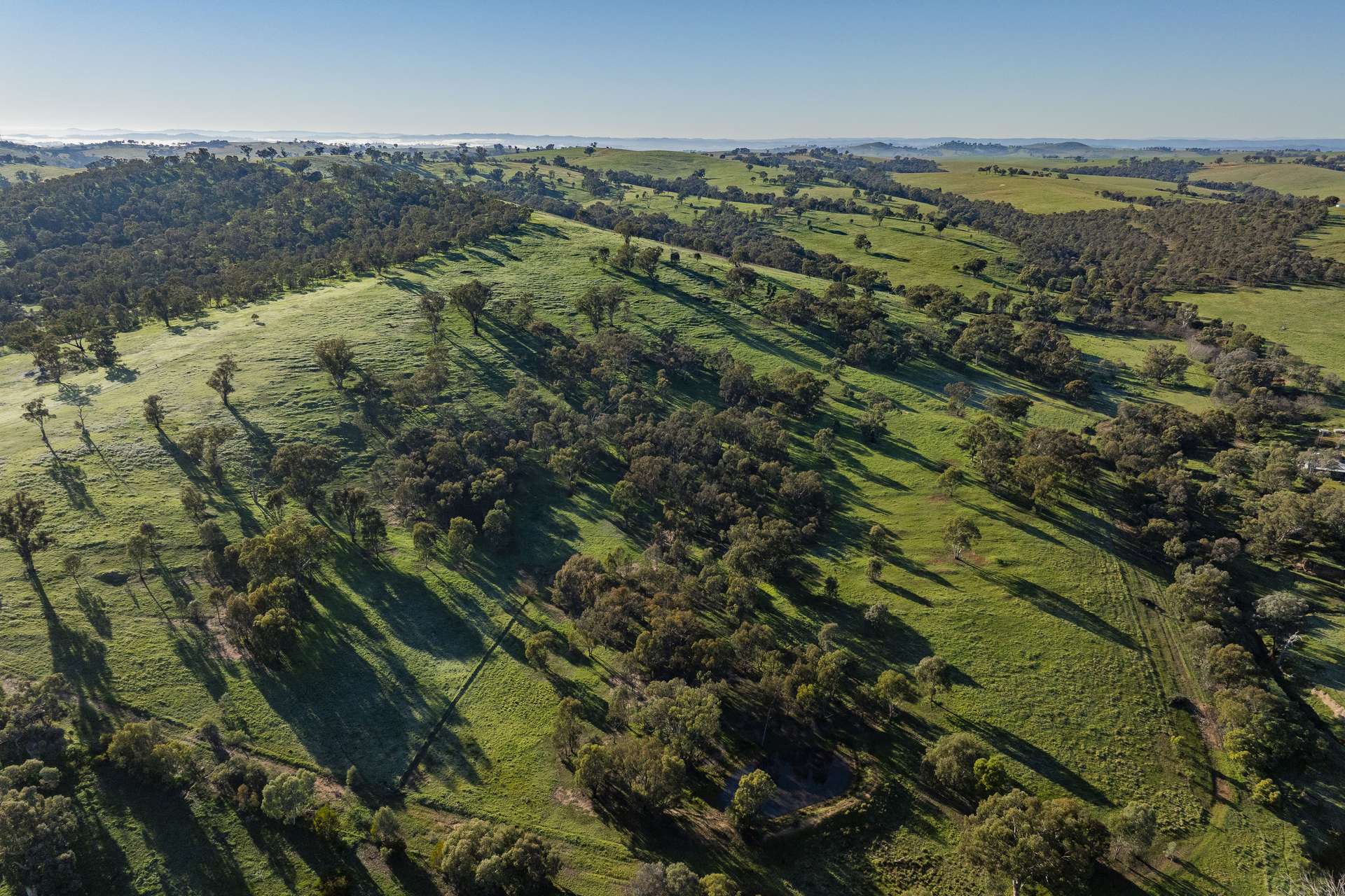 9294 Tumbarumba Road, Wagga Wagga For Sale by Farmbuy.com - image 32