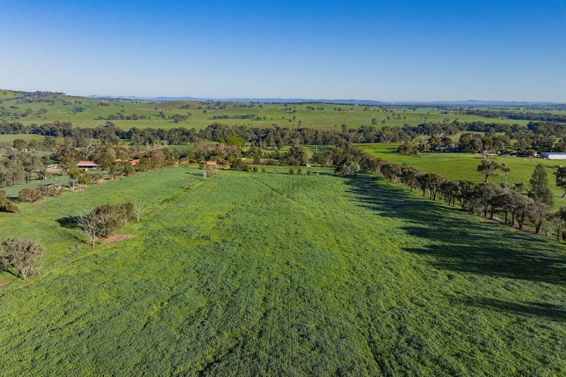 9294 Tumbarumba Road, Wagga Wagga For Sale by Farmbuy.com - image 9