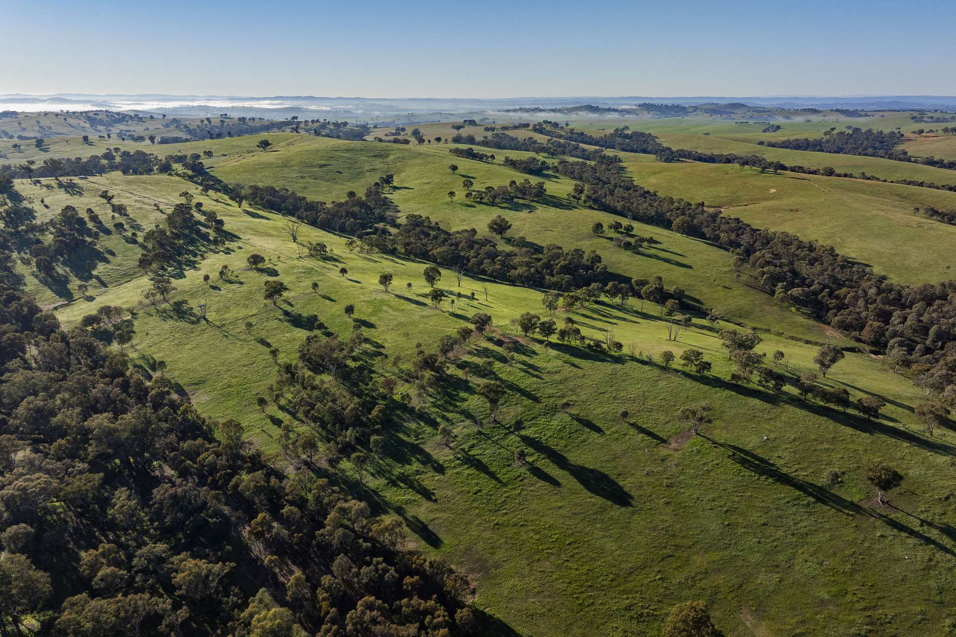 9294 Tumbarumba Road, Wagga Wagga For Sale by Farmbuy.com - image 13