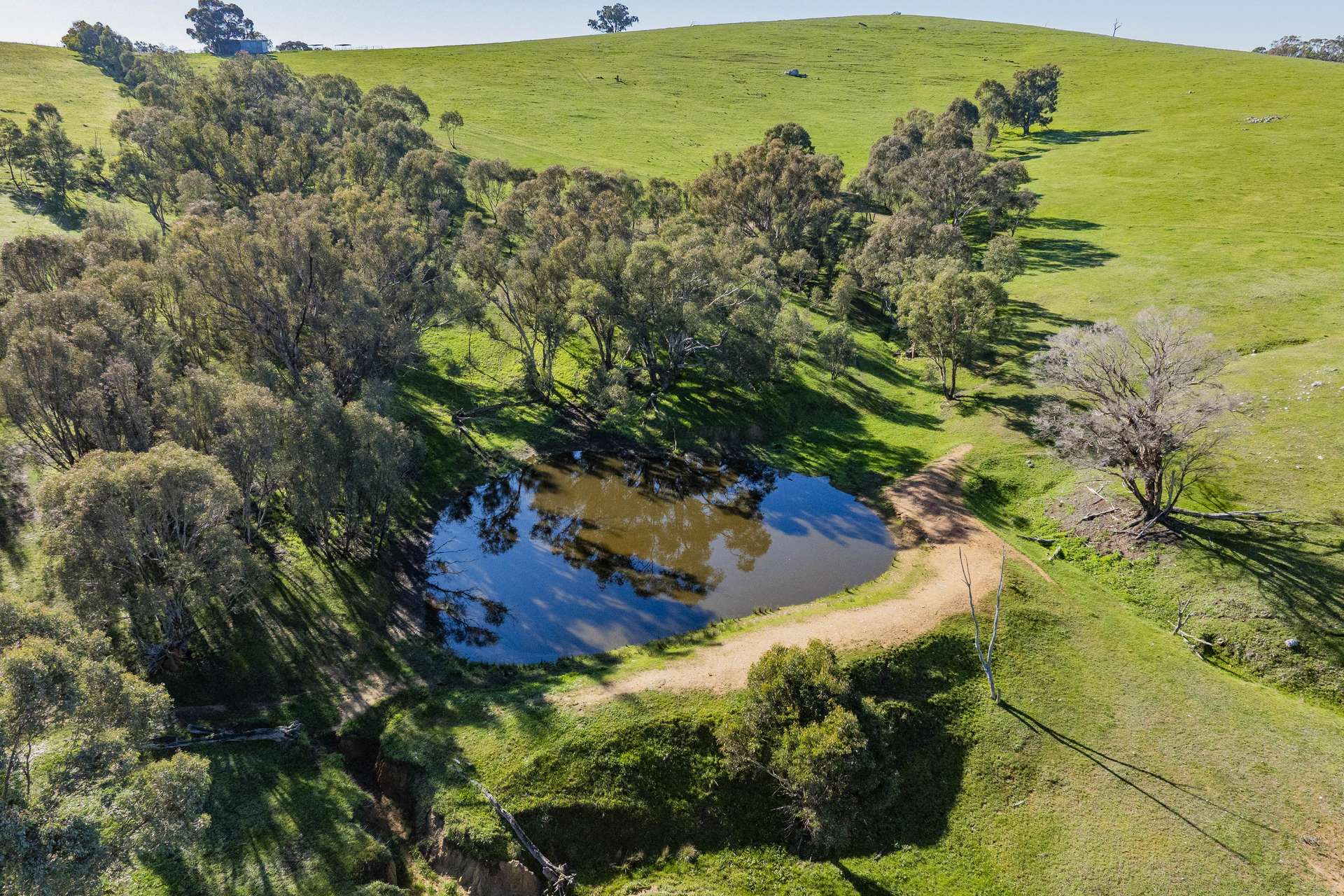 9294 Tumbarumba Road, Wagga Wagga For Sale by Farmbuy.com - image 17