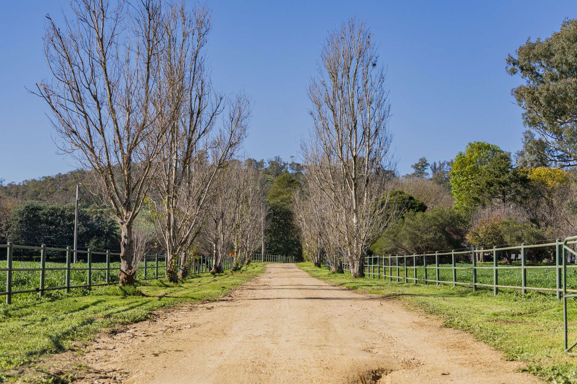 9294 Tumbarumba Road, Wagga Wagga For Sale by Farmbuy.com - image 29