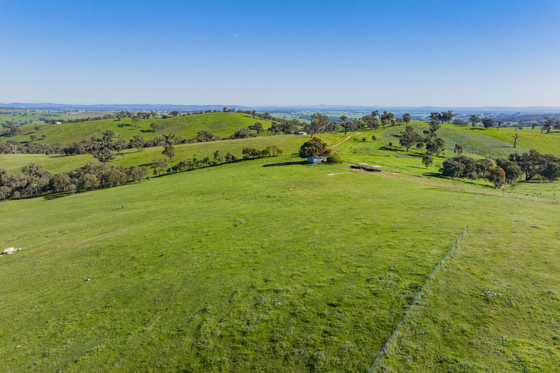 9294 Tumbarumba Road, Wagga Wagga For Sale by Farmbuy.com - image 15