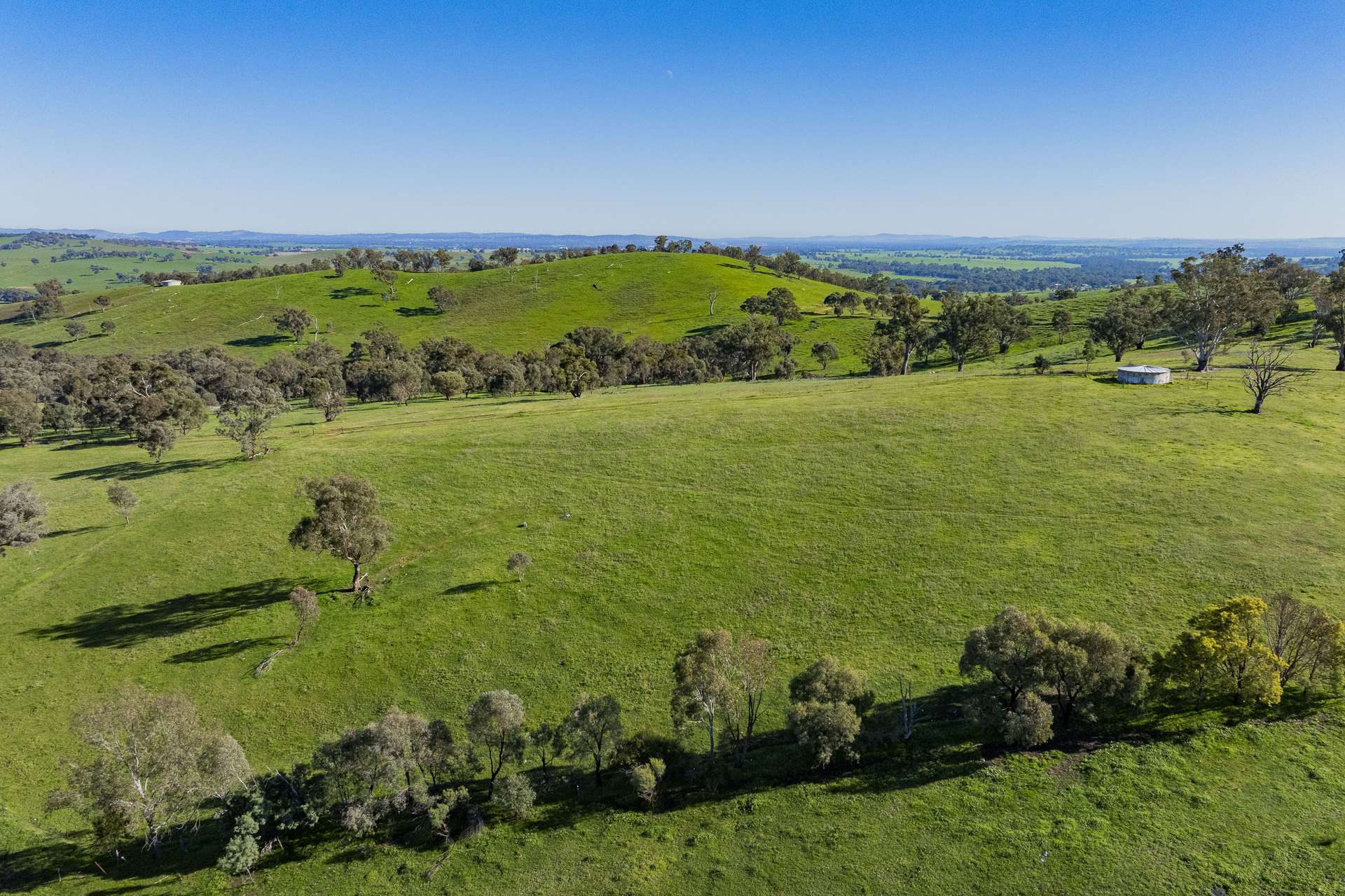 9294 Tumbarumba Road, Wagga Wagga For Sale by Farmbuy.com - image 14