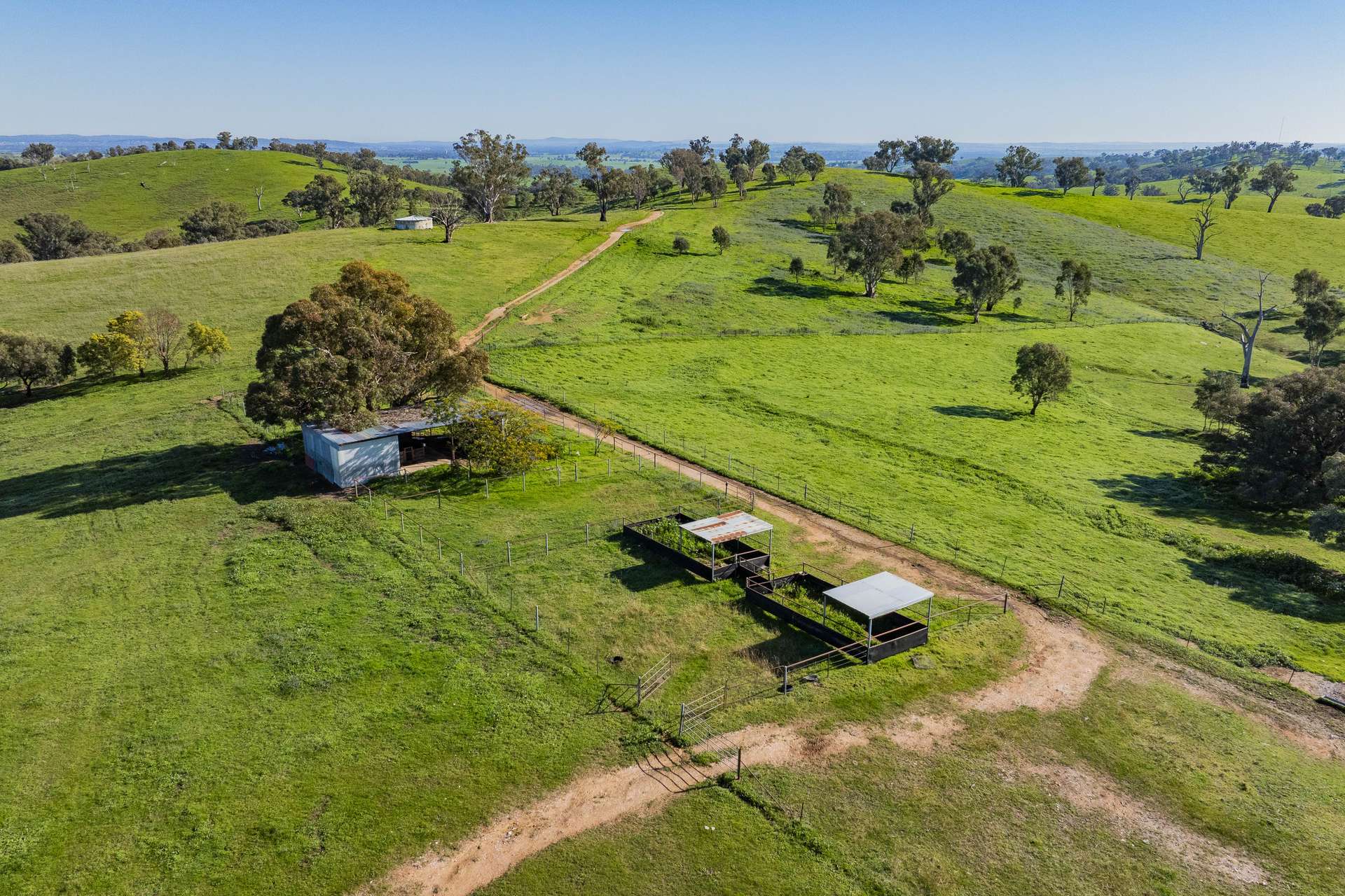 9294 Tumbarumba Road, Wagga Wagga For Sale by Farmbuy.com - image 18