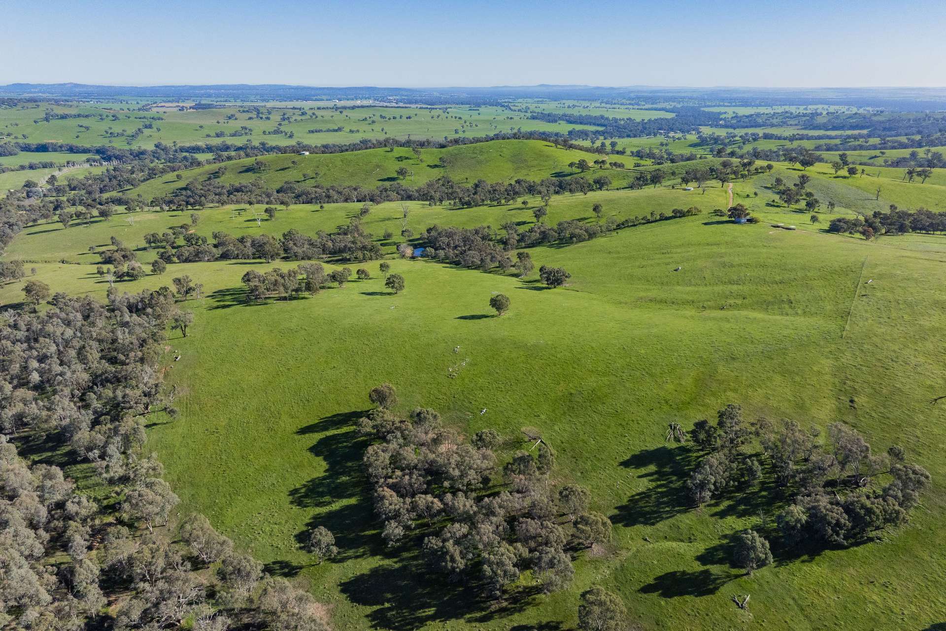 9294 Tumbarumba Road, Wagga Wagga For Sale by Farmbuy.com - image 16