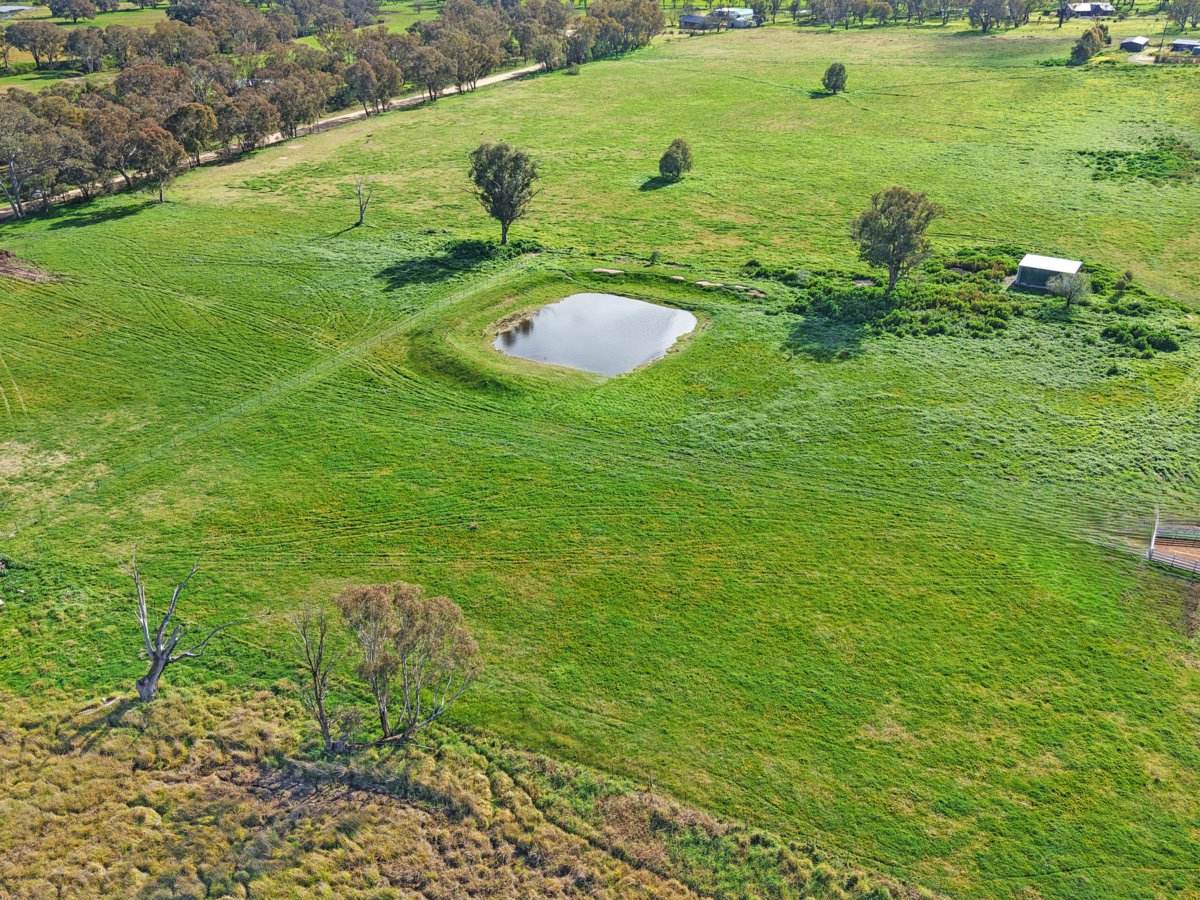 1385 Scenic Road, Monteagle Via, Young For Sale by Farmbuy.com - image 2