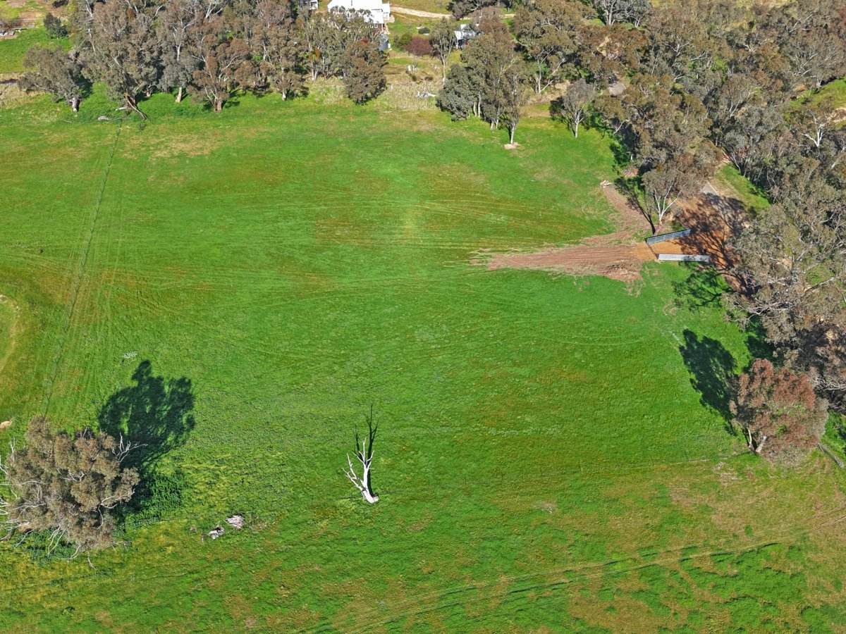 1743 Jerrybang Lane, Monteagle Via, Young For Sale by Farmbuy.com - image 9