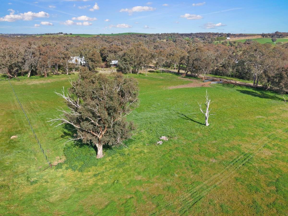 1743 Jerrybang Lane, Monteagle Via, Young For Sale by Farmbuy.com - image 4