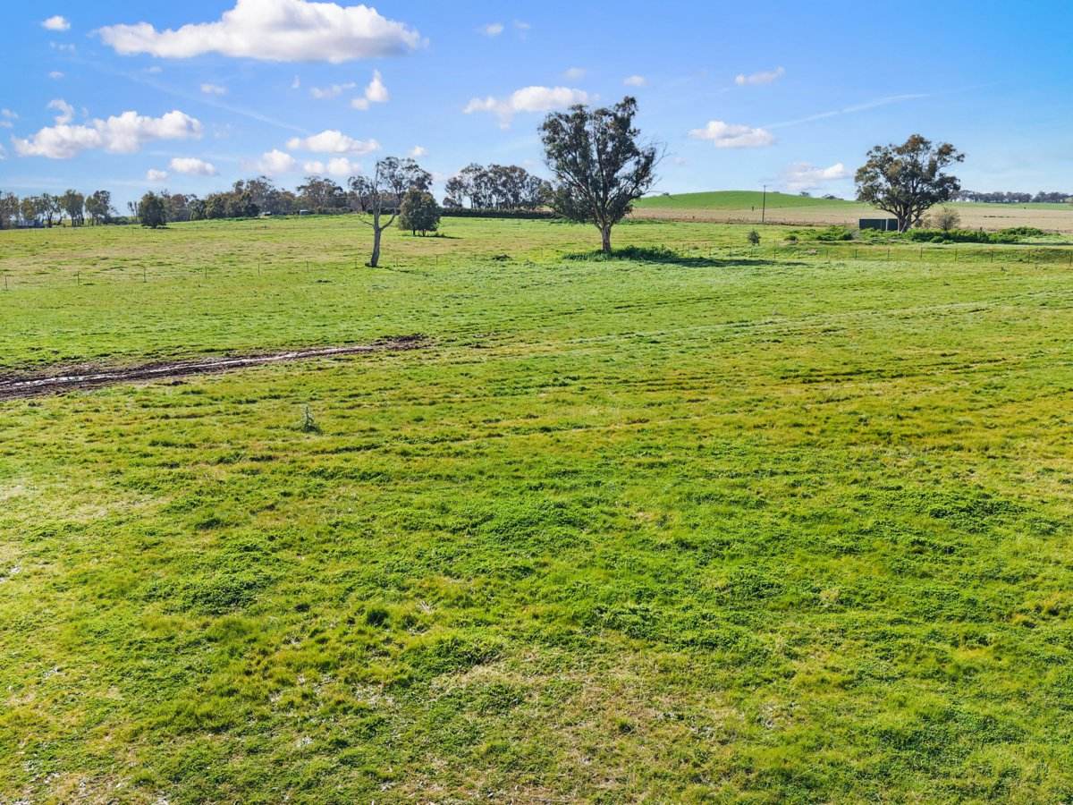 1743 Jerrybang Lane, Monteagle Via, Young For Sale by Farmbuy.com - image 8