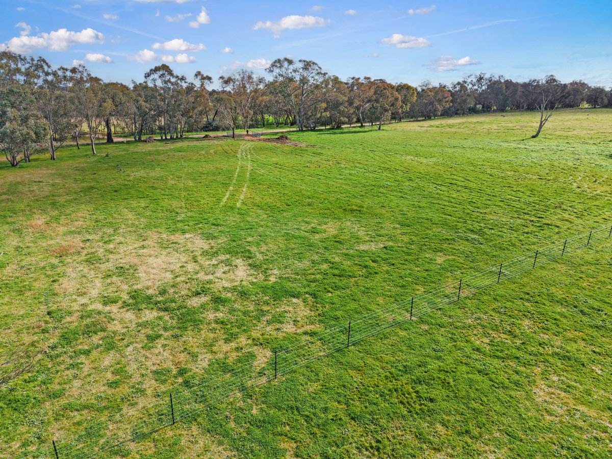 1743 Jerrybang Lane, Monteagle Via, Young For Sale by Farmbuy.com - image 11