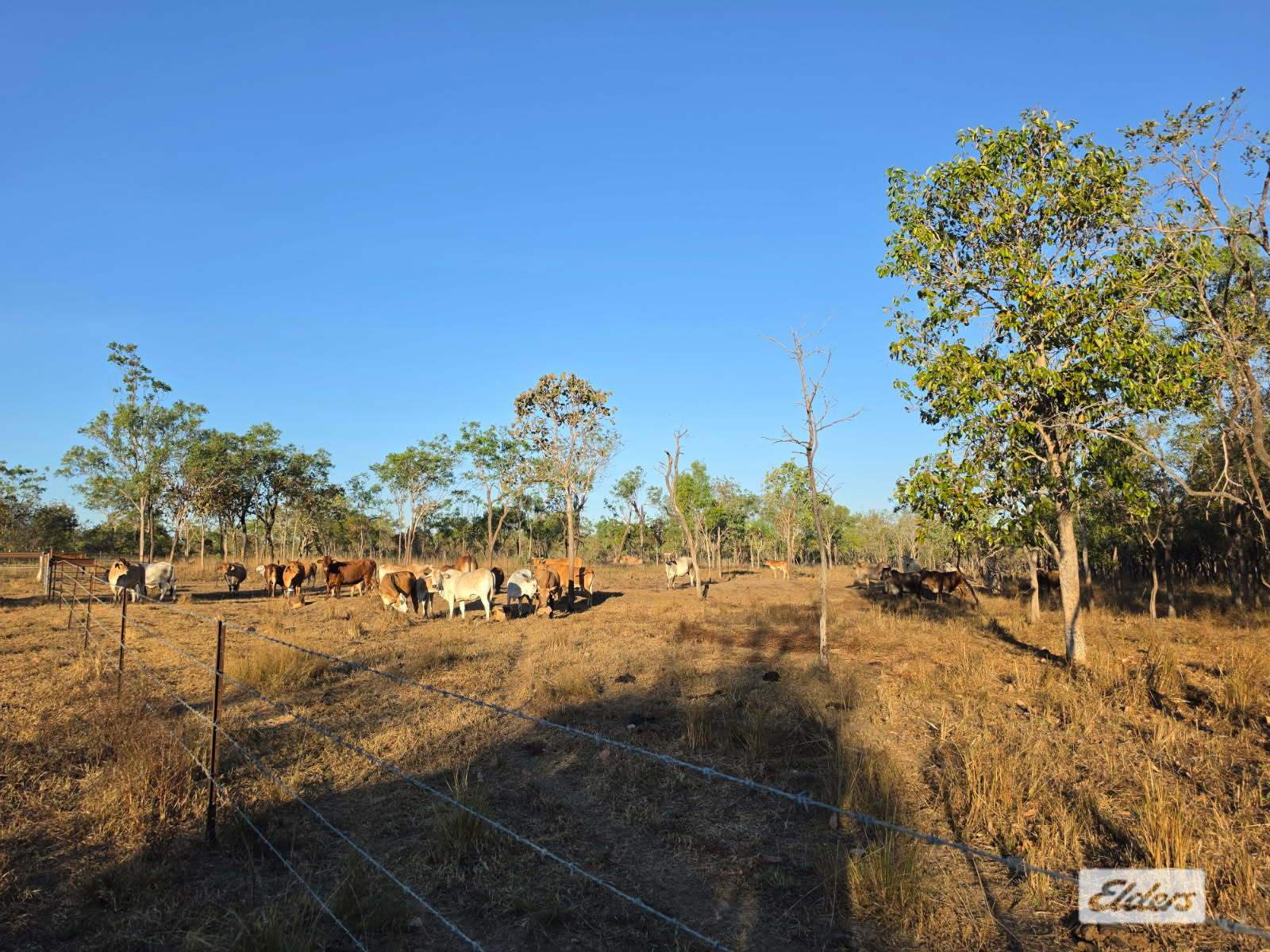 680 Miles Road, Eva Valley For Sale by Farmbuy.com - image 28