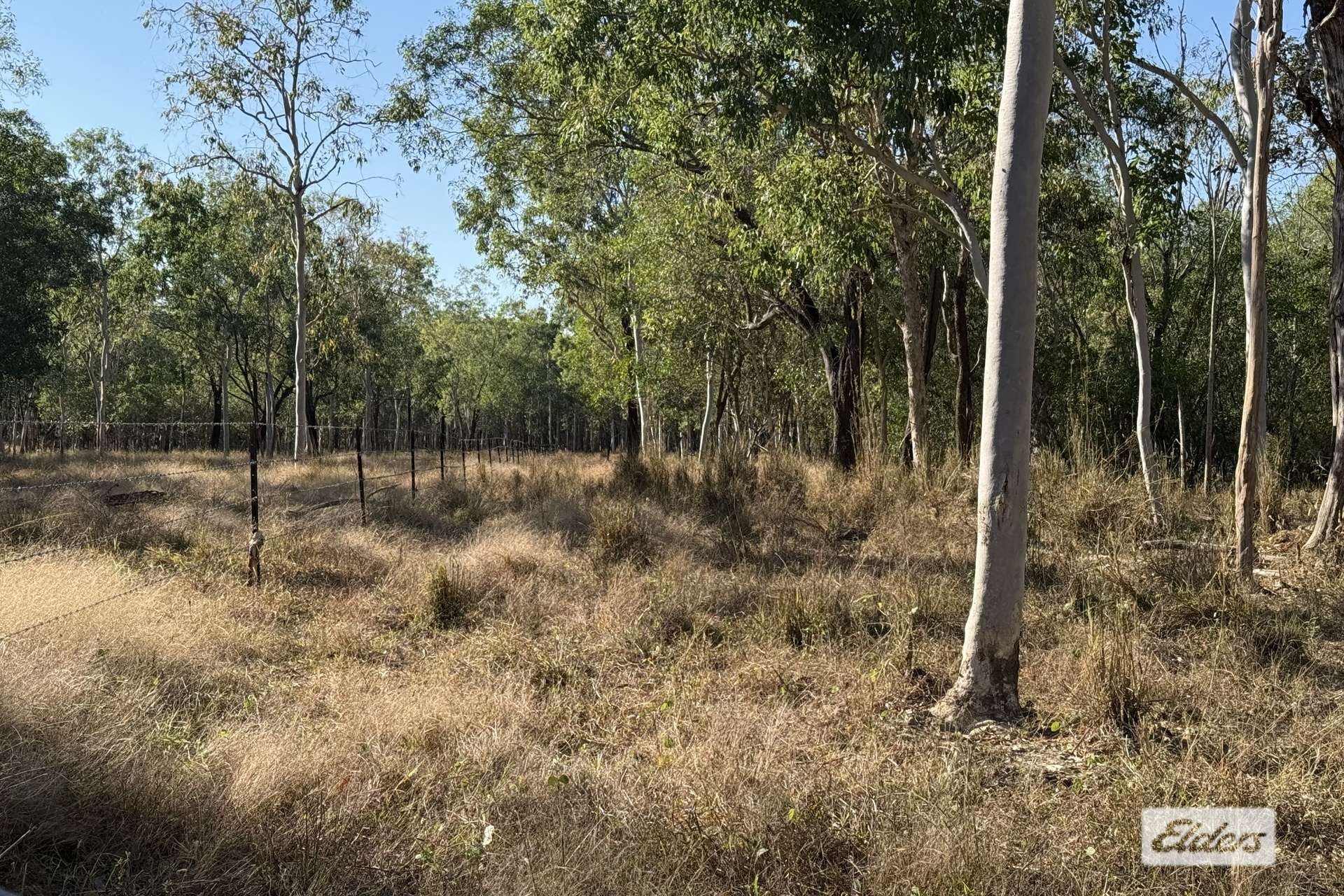 680 Miles Road, Eva Valley For Sale by Farmbuy.com - image 23