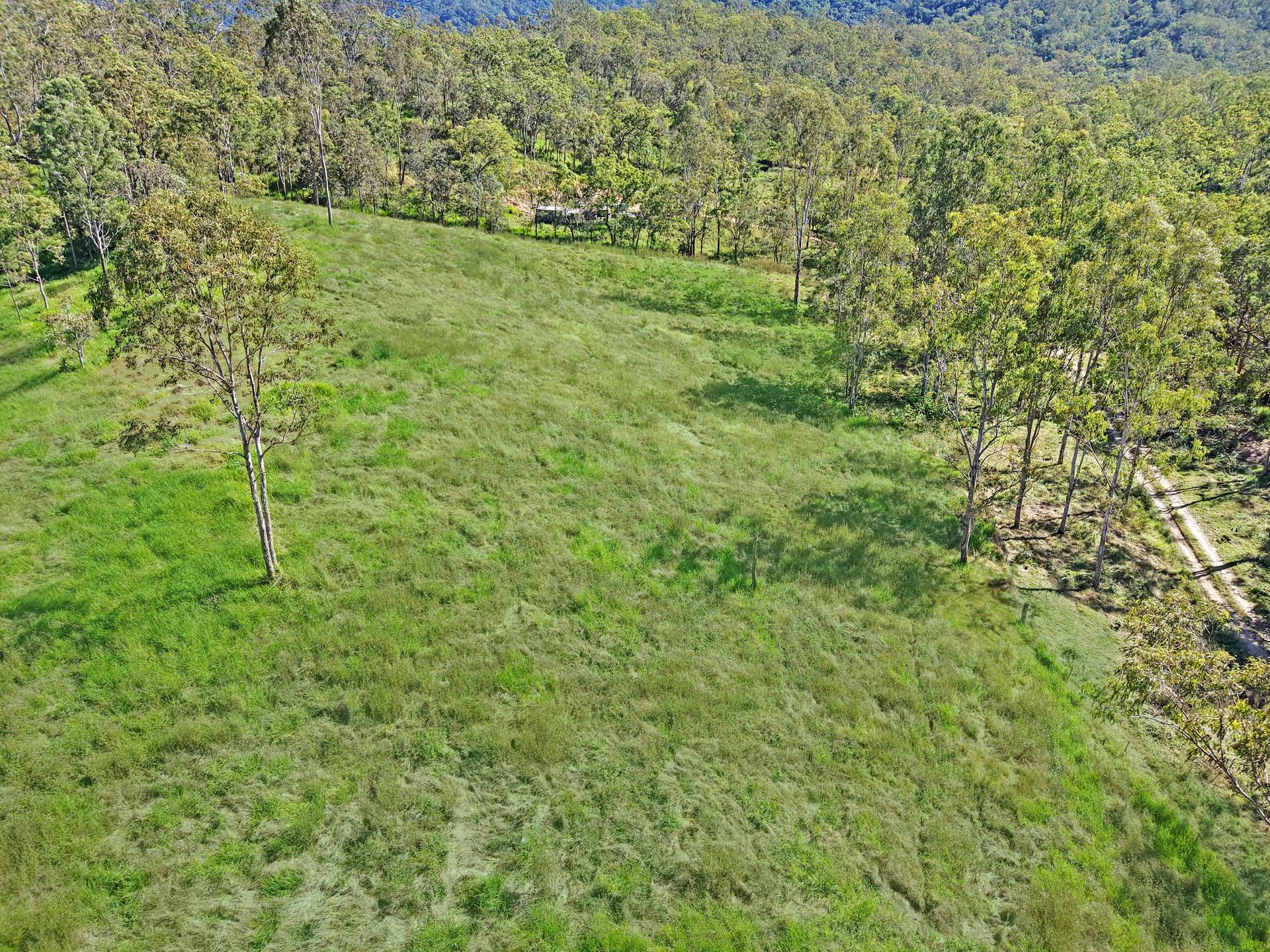 6160 Mackay - Eungella Road, Netherdale For Sale by Farmbuy.com - image 4