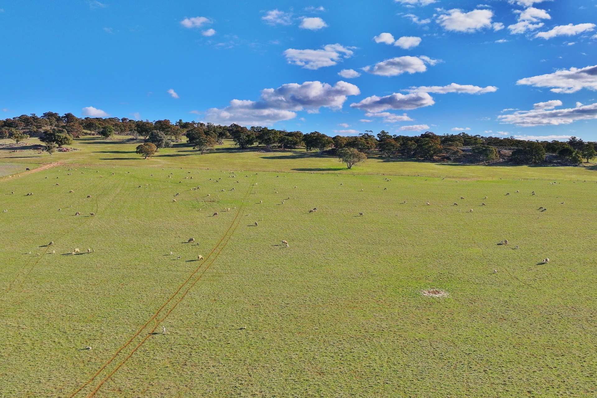 600 Irvine Road, Thoona For Sale by Farmbuy.com - image 3
