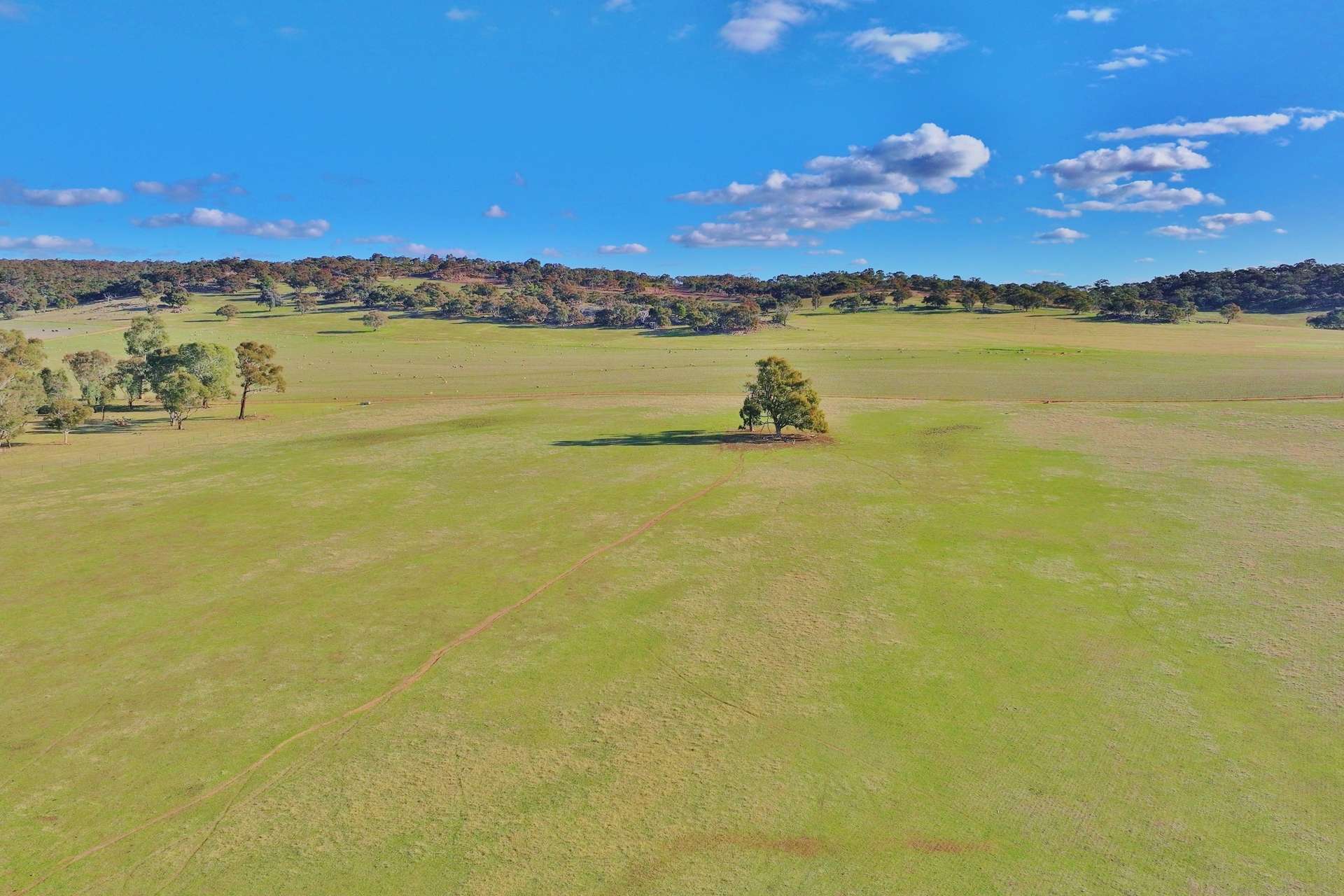 600 Irvine Road, Thoona For Sale by Farmbuy.com - image 6