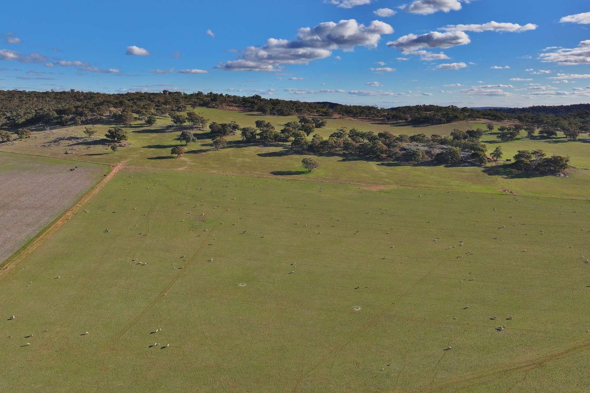 600 Irvine Road, Thoona For Sale by Farmbuy.com - image 5
