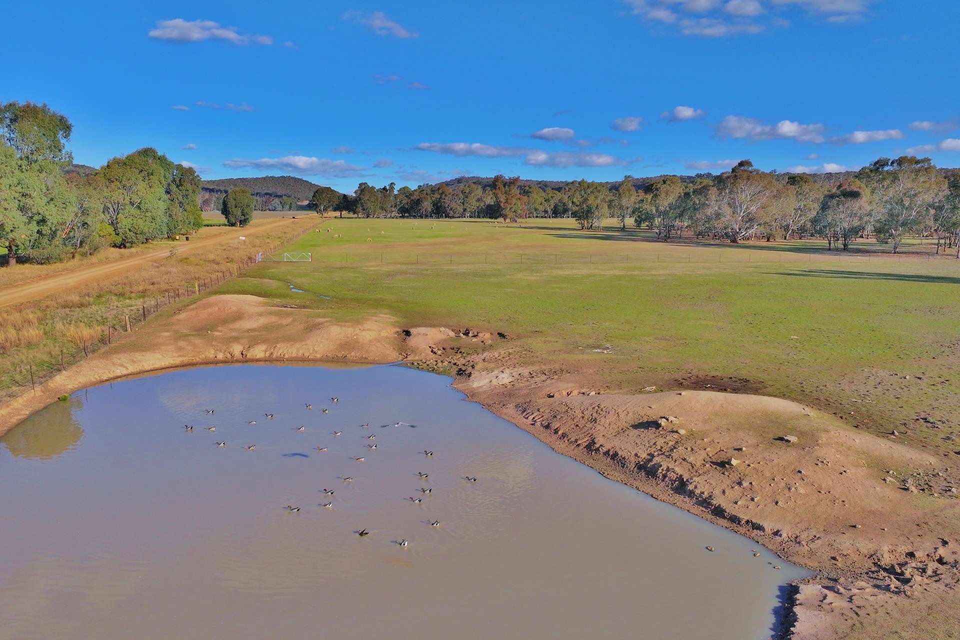 600 Irvine Road, Thoona For Sale by Farmbuy.com - image 4