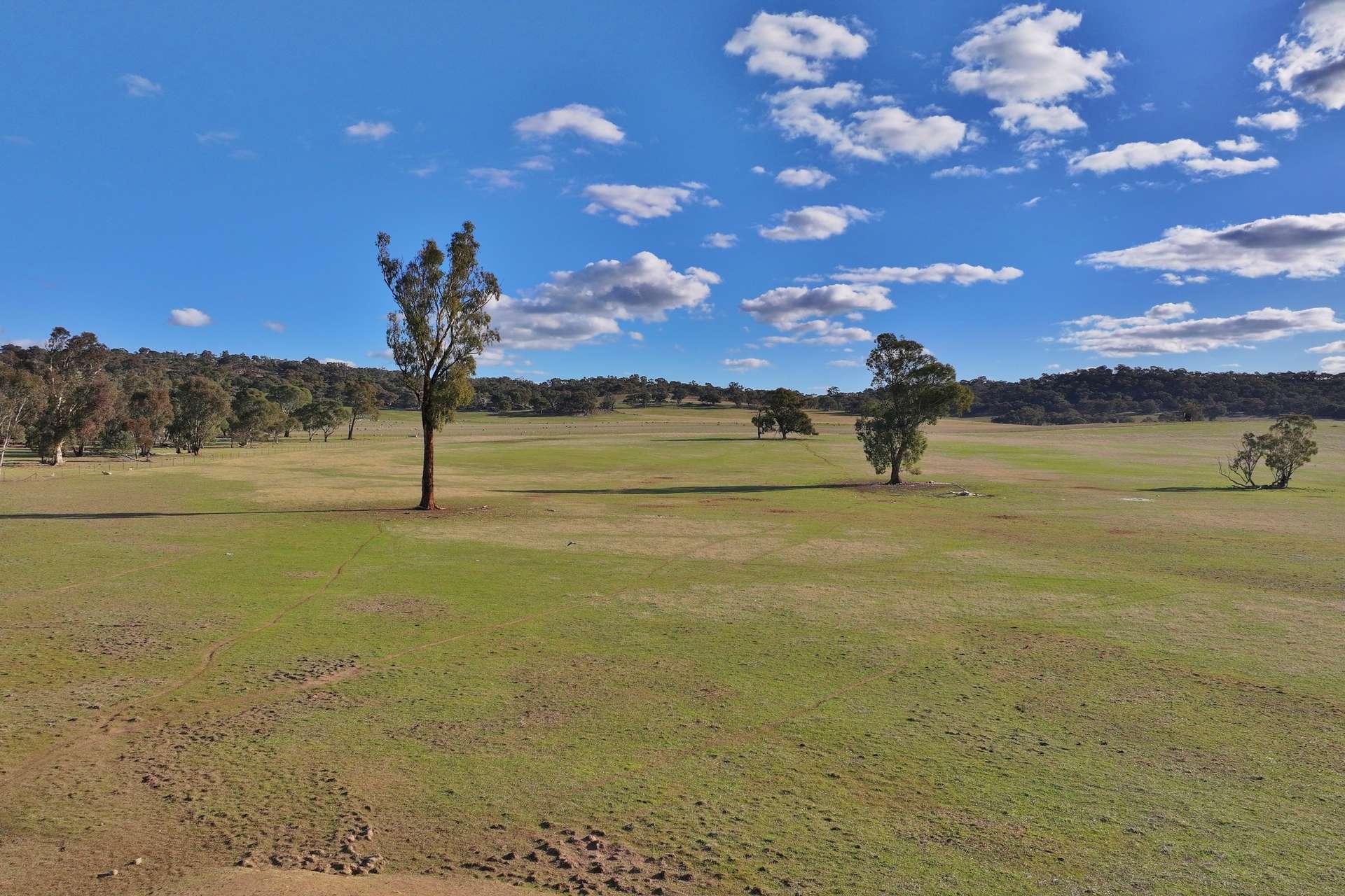 600 Irvine Road, Thoona For Sale by Farmbuy.com - image 7