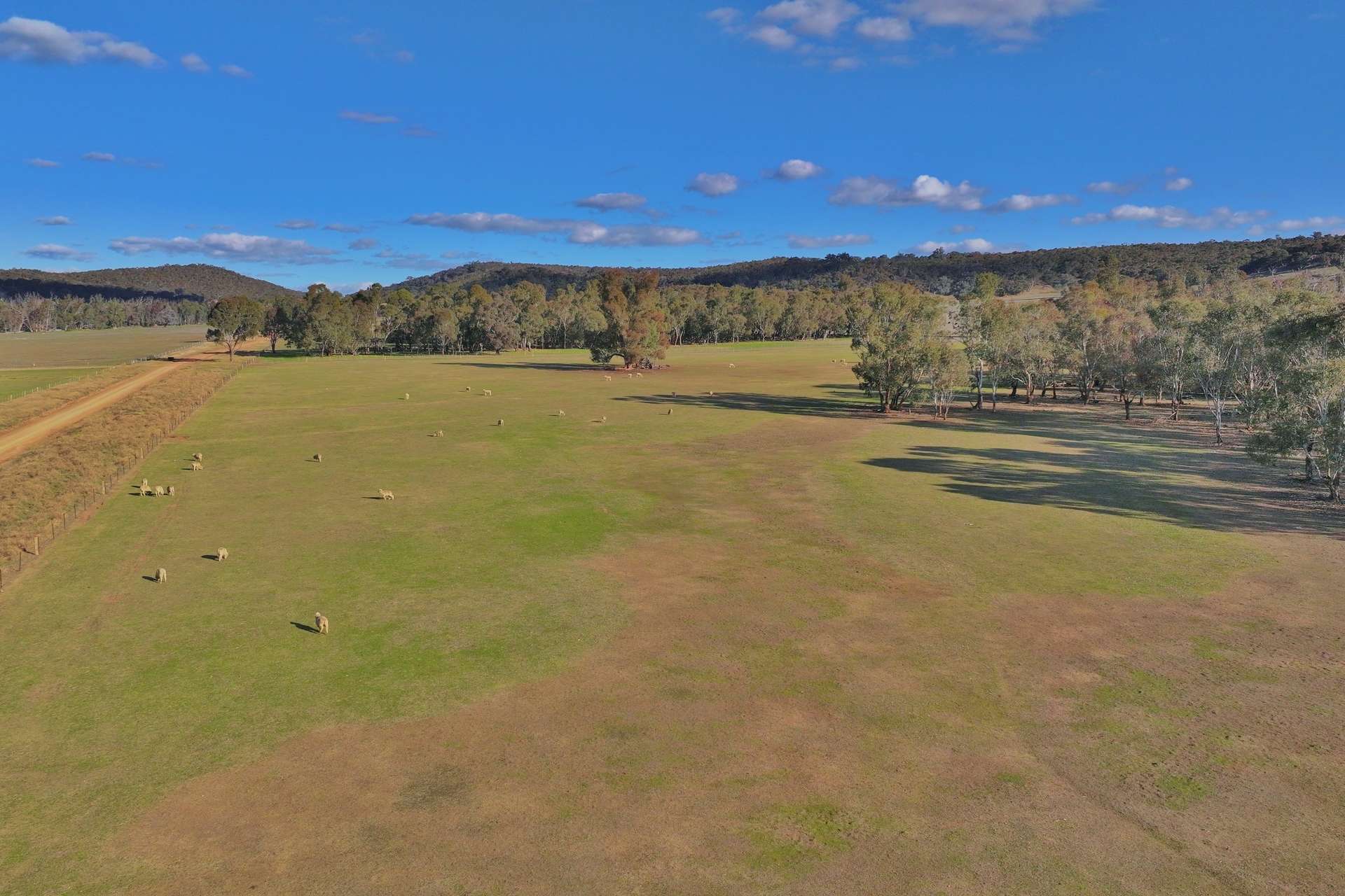 600 Irvine Road, Thoona For Sale by Farmbuy.com - image 8
