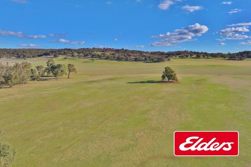 Farm For Sale - VIC - Thoona - 3726 - Gray's - Mixed Farming Opportunity at Thoona Victoria 