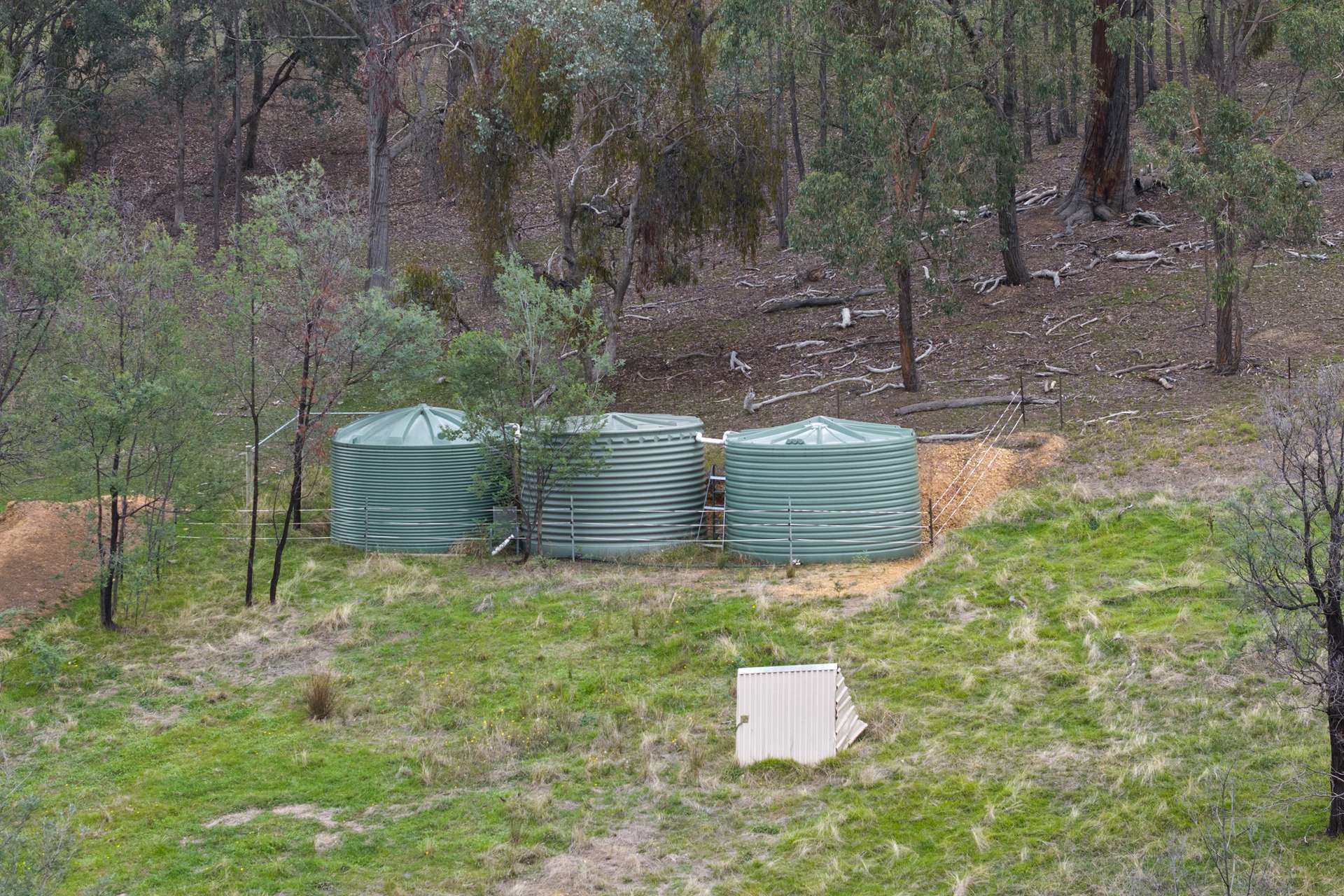 1368 Carboor-Everton Road, Bobinawarrah For Sale by Farmbuy.com - image 18