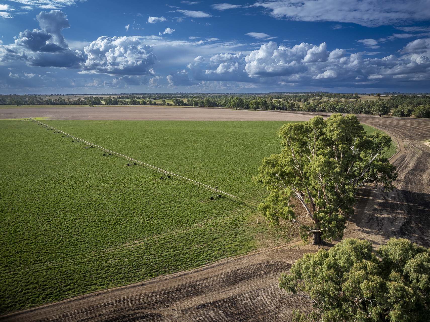 45R Strathmore Road, Geurie For Sale by Farmbuy.com - image 6
