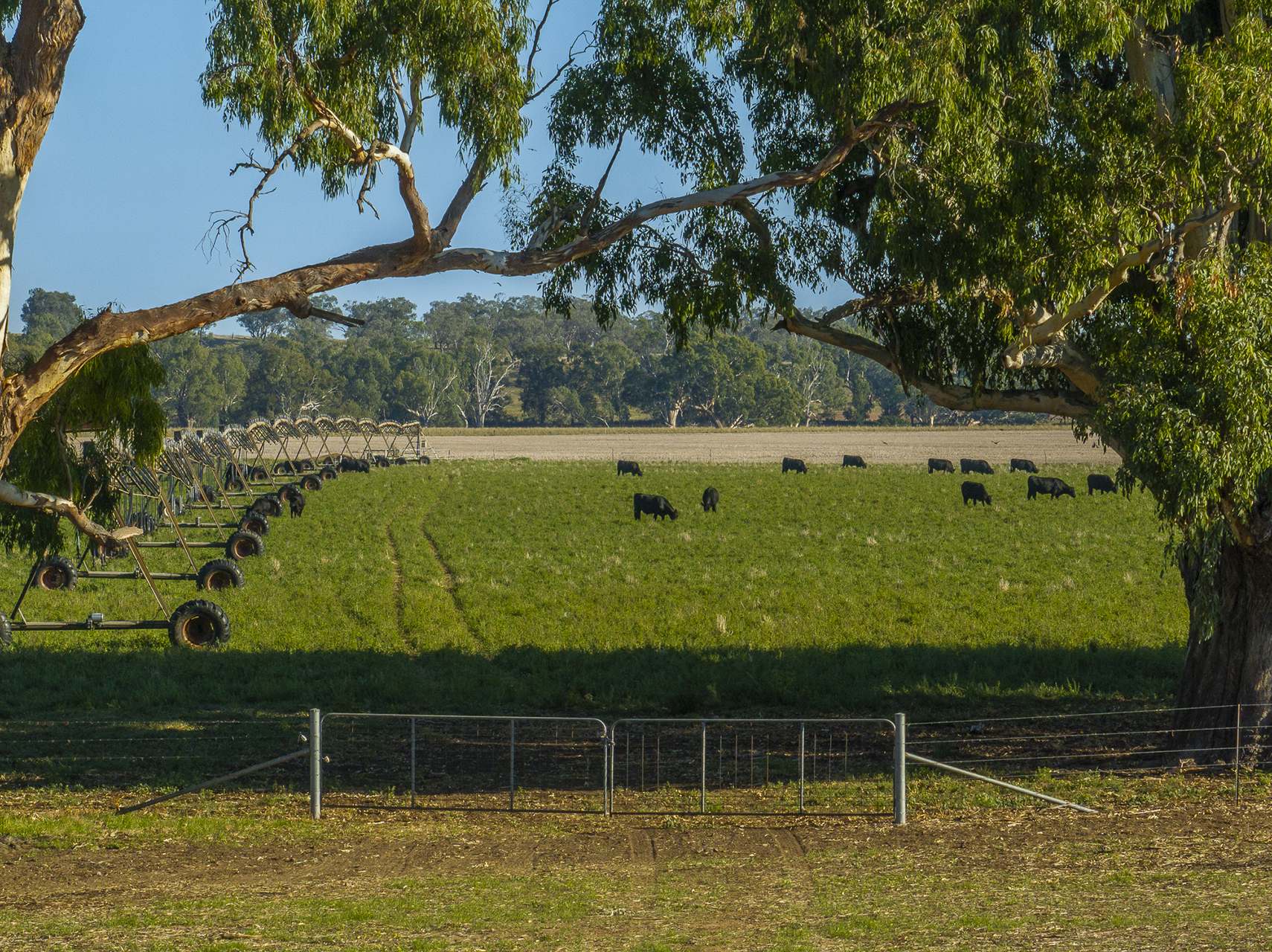 45R Strathmore Road, Geurie For Sale by Farmbuy.com - image 21