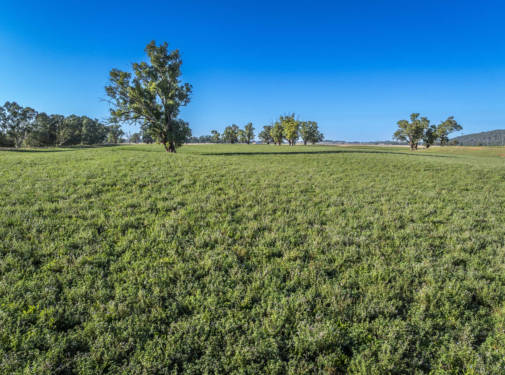 45R Strathmore Road, Geurie For Sale by Farmbuy.com - image 8