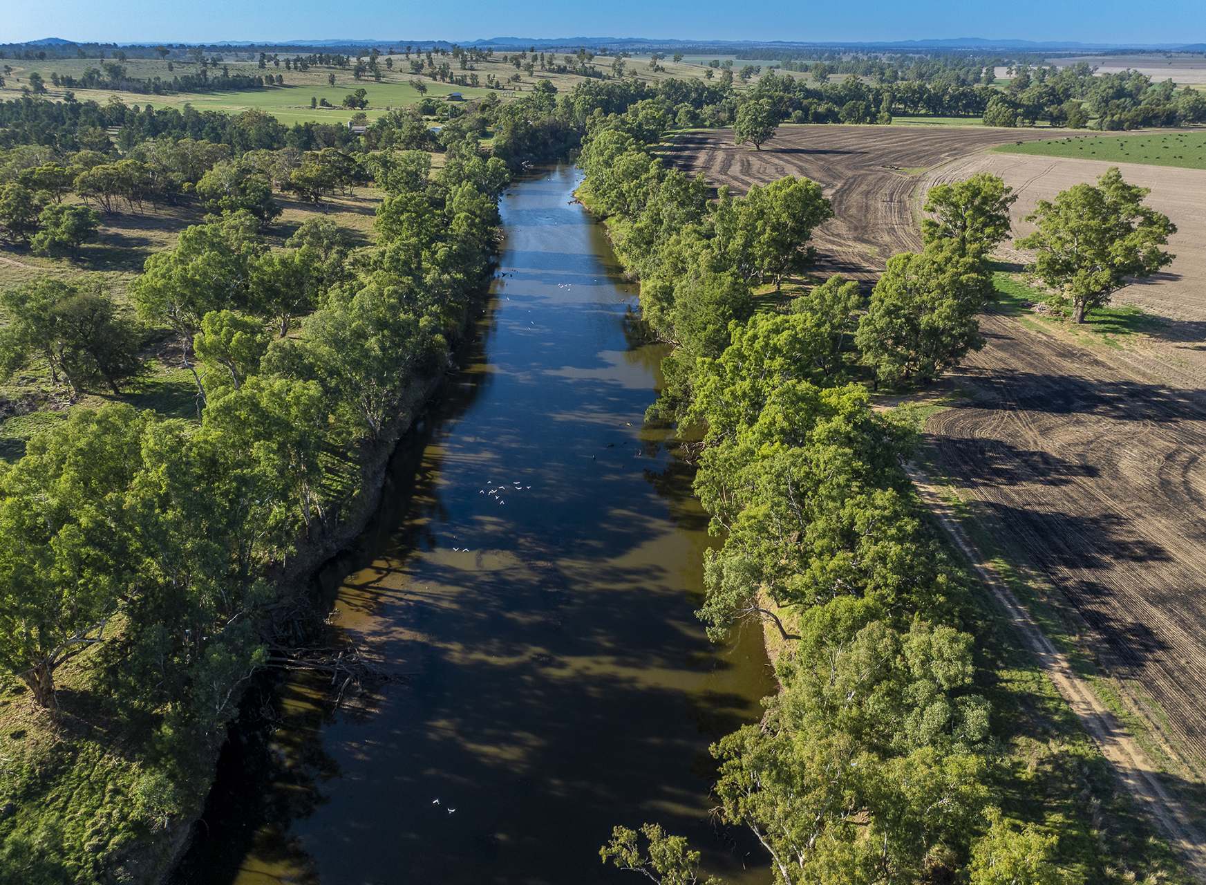 45R Strathmore Road, Geurie For Sale by Farmbuy.com - image 4