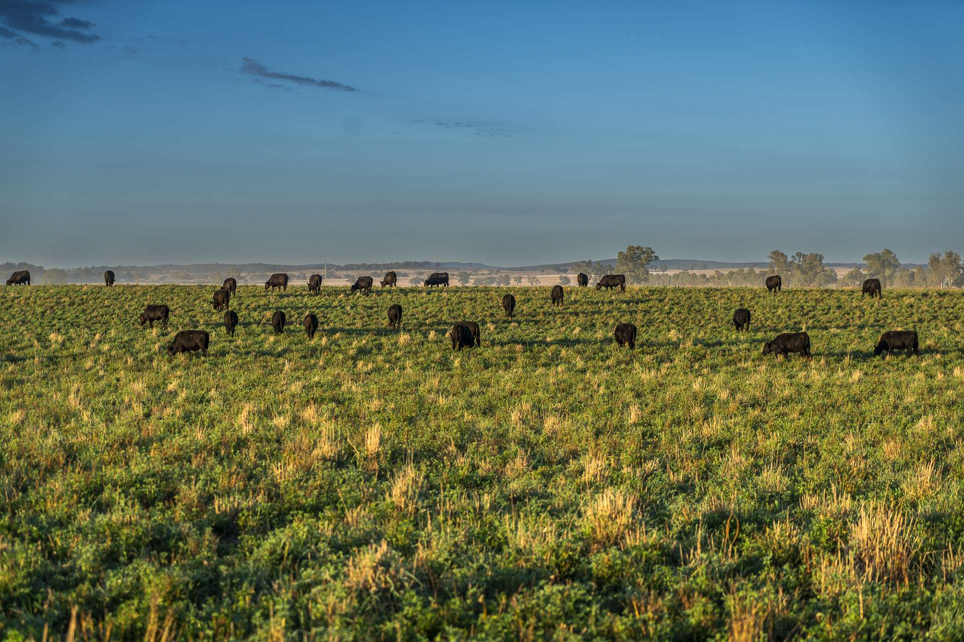 45R Strathmore Road, Geurie For Sale by Farmbuy.com - image 3