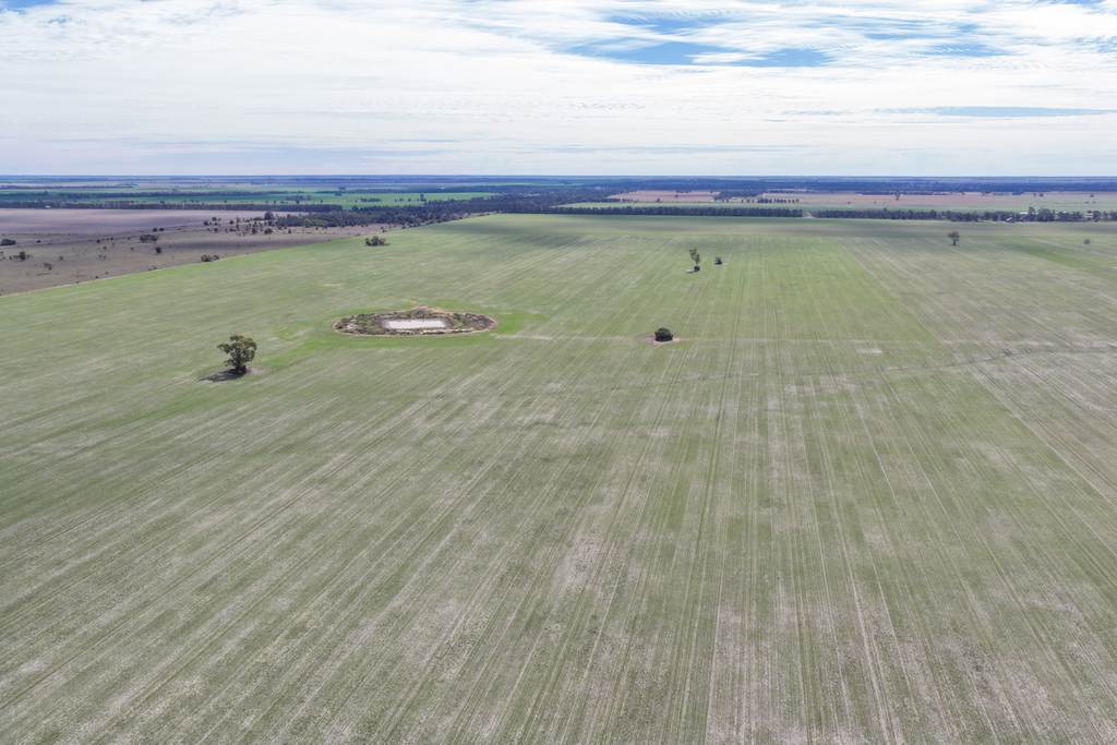 26446 Newell Highway, Moree NSW 2400