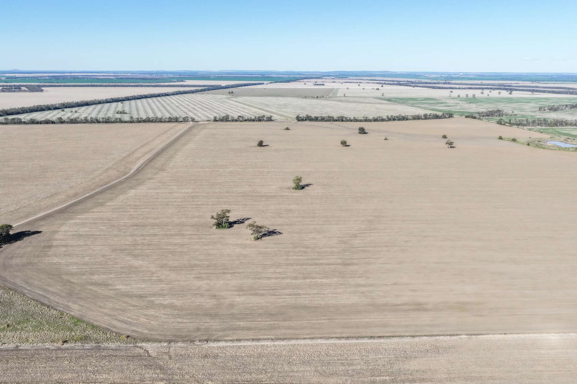 26446 Newell Highway, Moree For Sale by Farmbuy.com - image 10