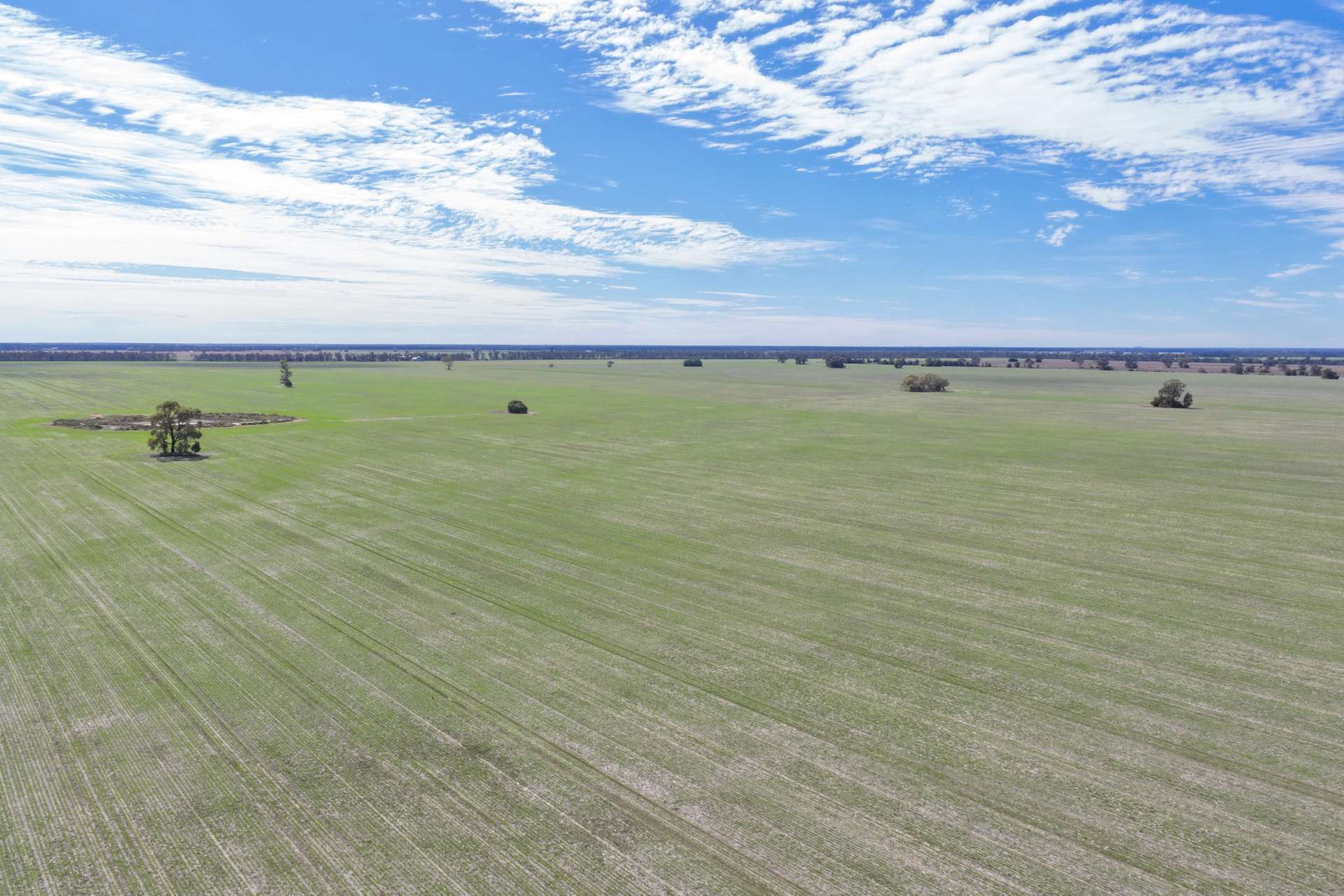 26446 Newell Highway, Moree For Sale by Farmbuy.com - image 2