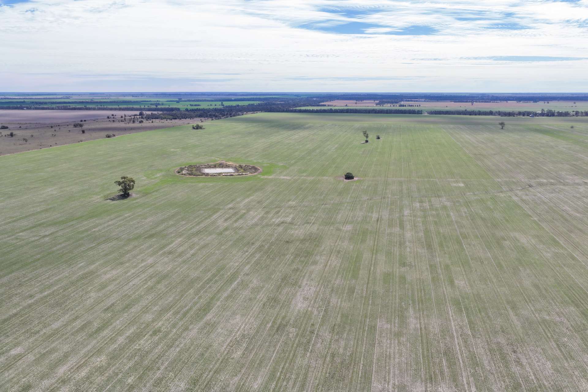 26446 Newell Highway, Moree For Sale by Farmbuy.com - image 1