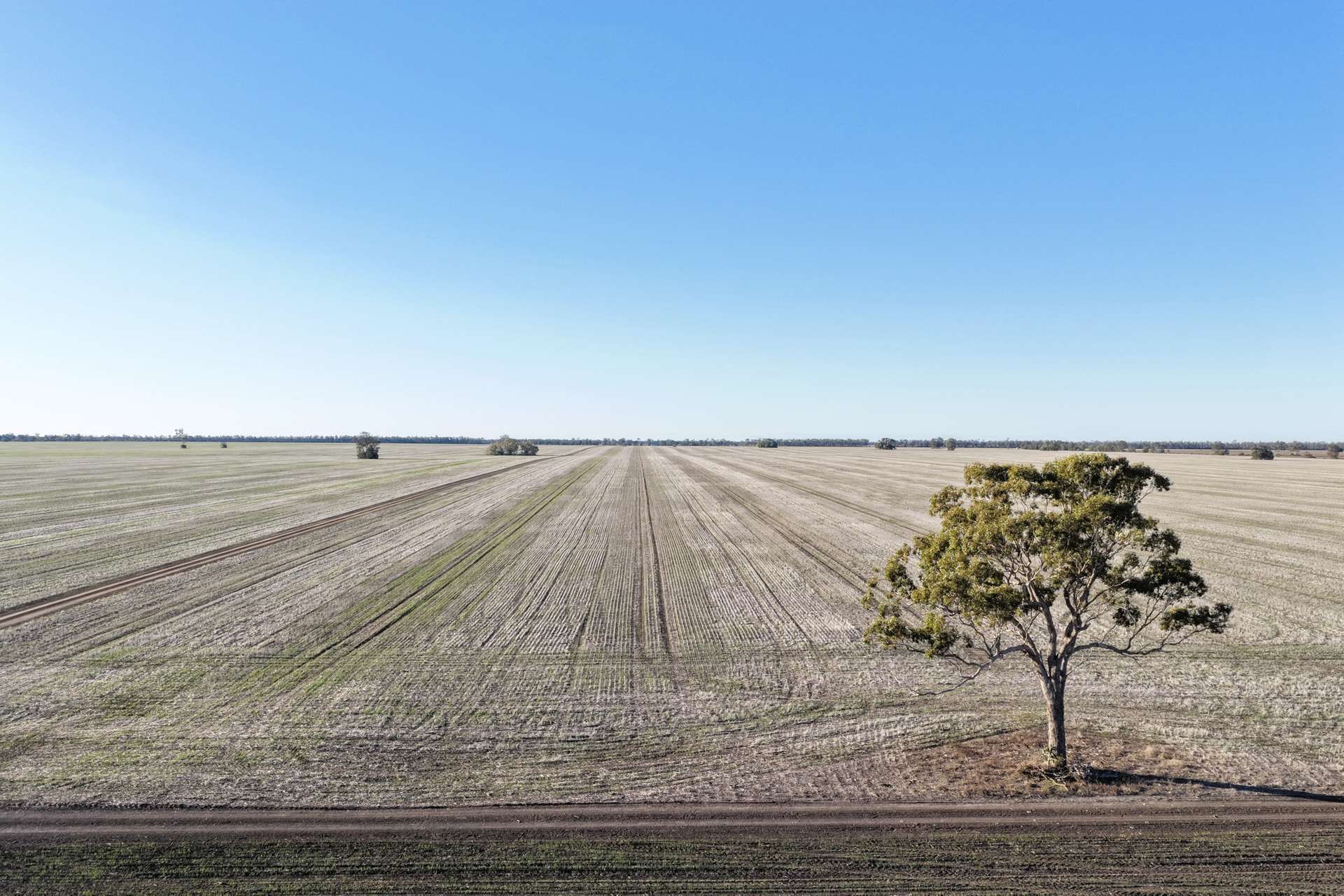 26446 Newell Highway, Moree For Sale by Farmbuy.com - image 6