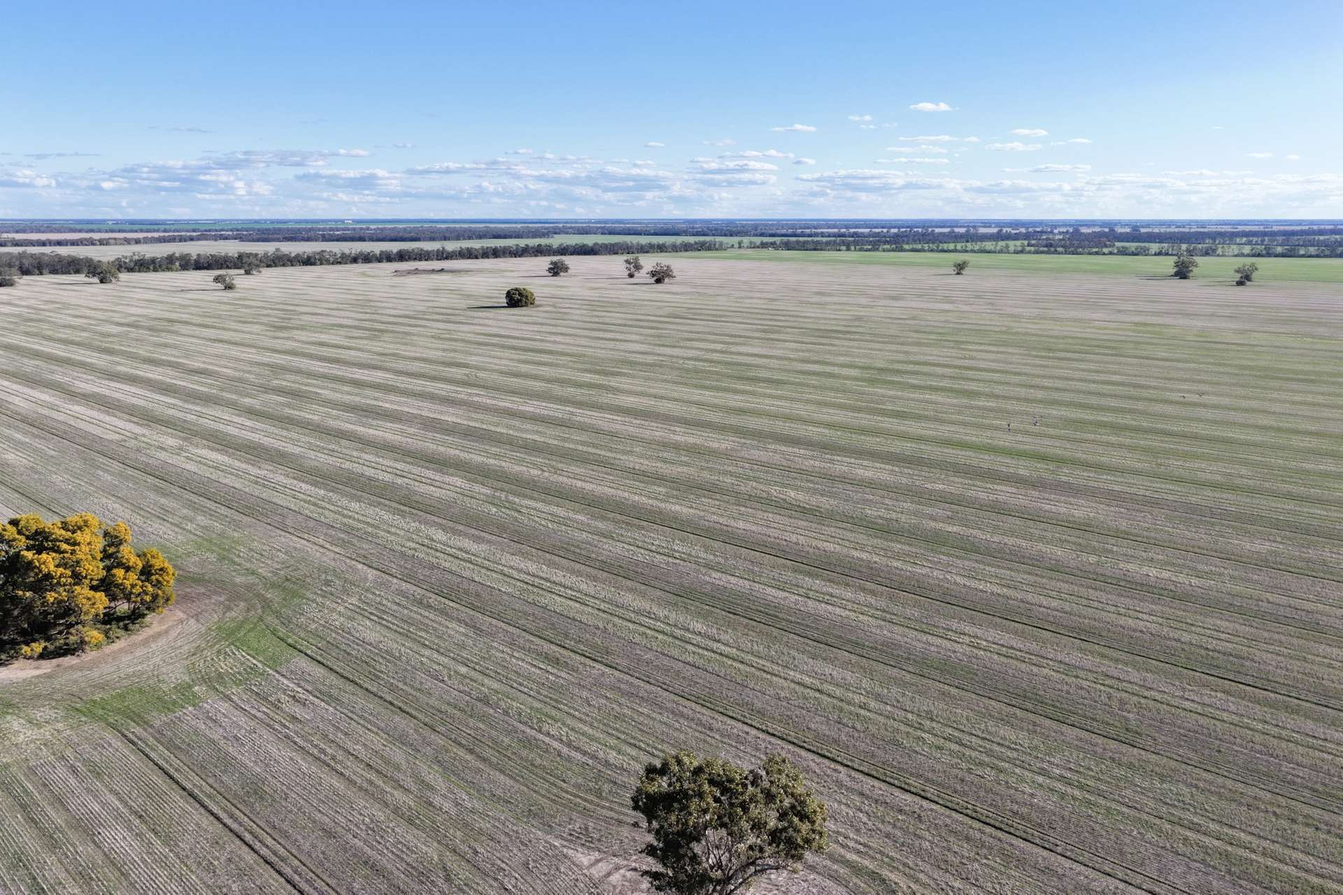 26446 Newell Highway, Moree For Sale by Farmbuy.com - image 10