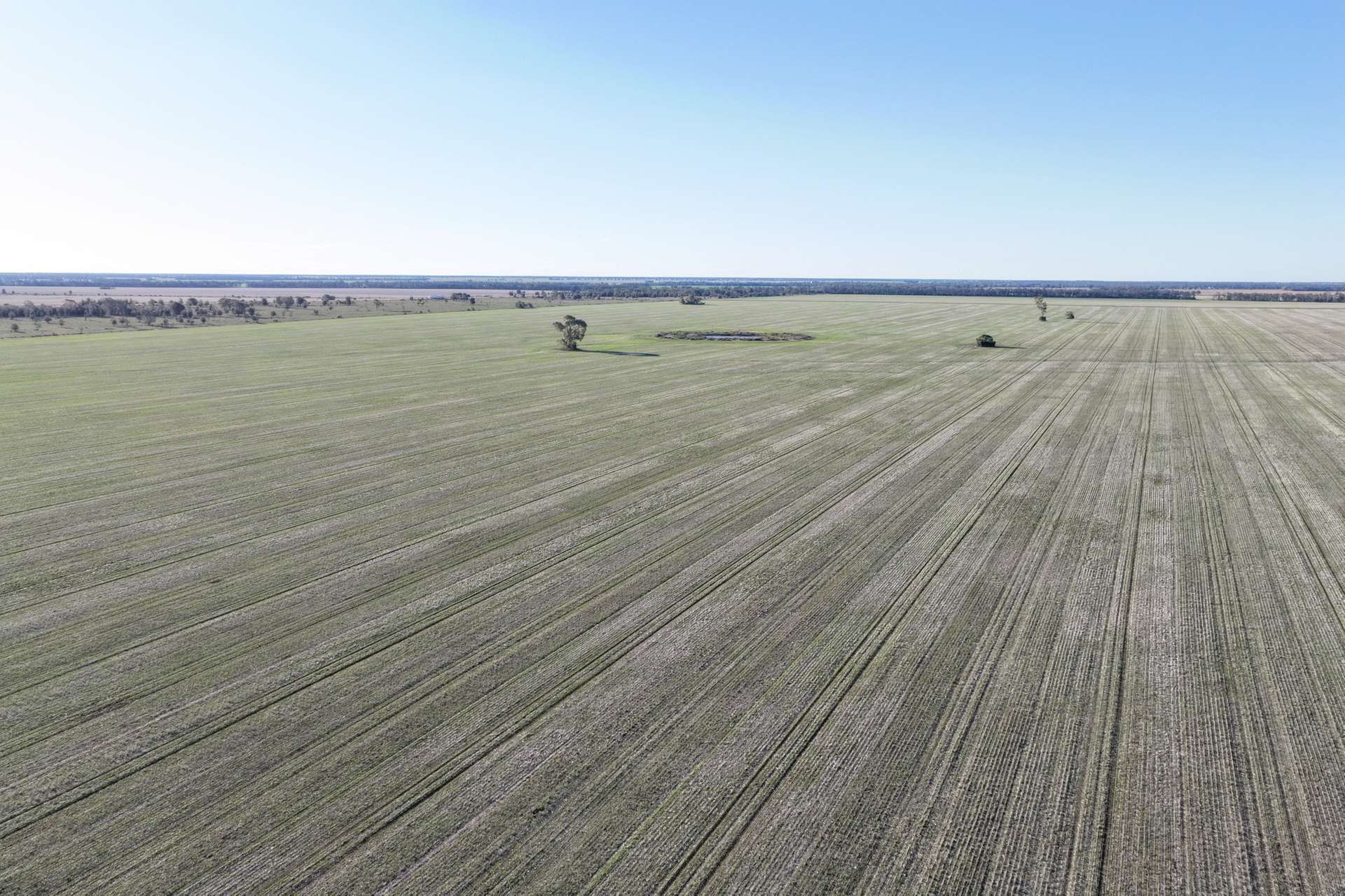 26446 Newell Highway, Moree For Sale by Farmbuy.com - image 1