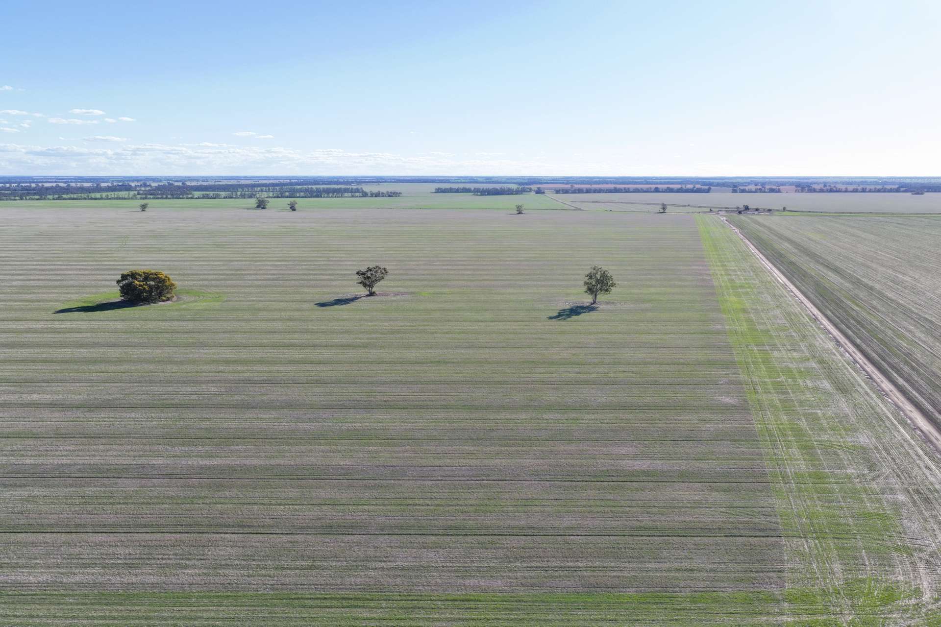 26446 Newell Highway, Moree For Sale by Farmbuy.com - image 9