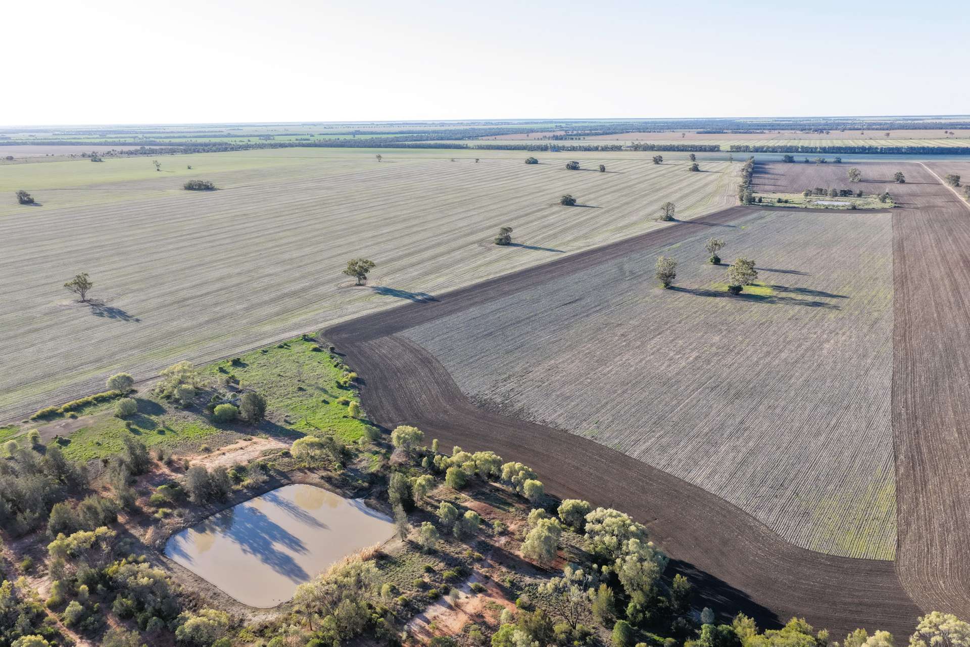 26446 Newell Highway, Moree For Sale by Farmbuy.com - image 2