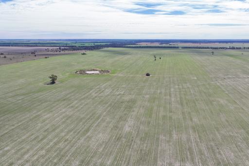 26446 Newell Highway, Moree NSW 2400