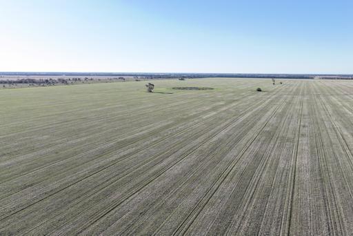 Farm For Sale - NSW - Moree - 2400 - Highly Productive Dryland Cropping Opportunity 