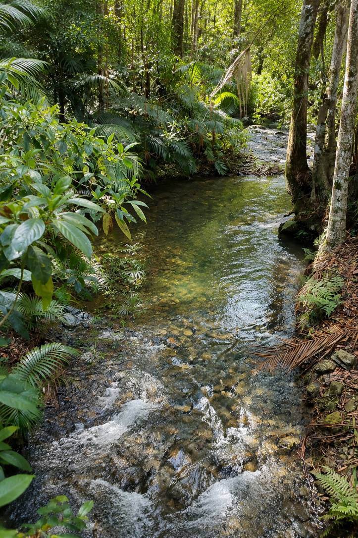 Lot 2 Harris Road, Owens Creek For Sale by Farmbuy.com - image 34