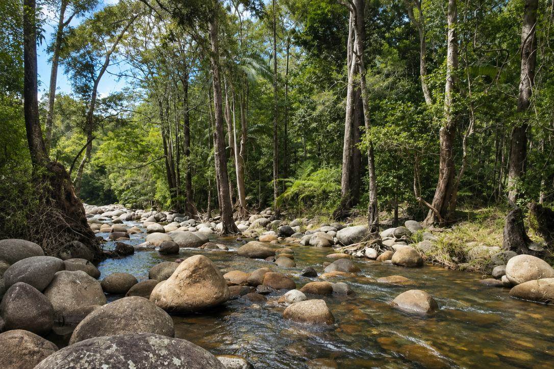Lot 2 Harris Road, Owens Creek For Sale by Farmbuy.com - image 33